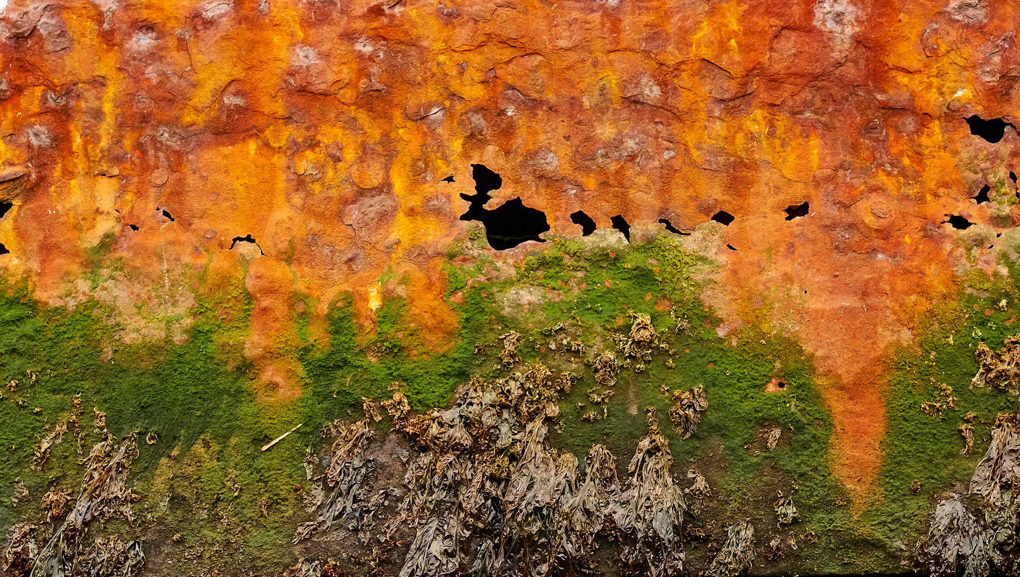 The hull of an old whaling ship, South Georgia Island