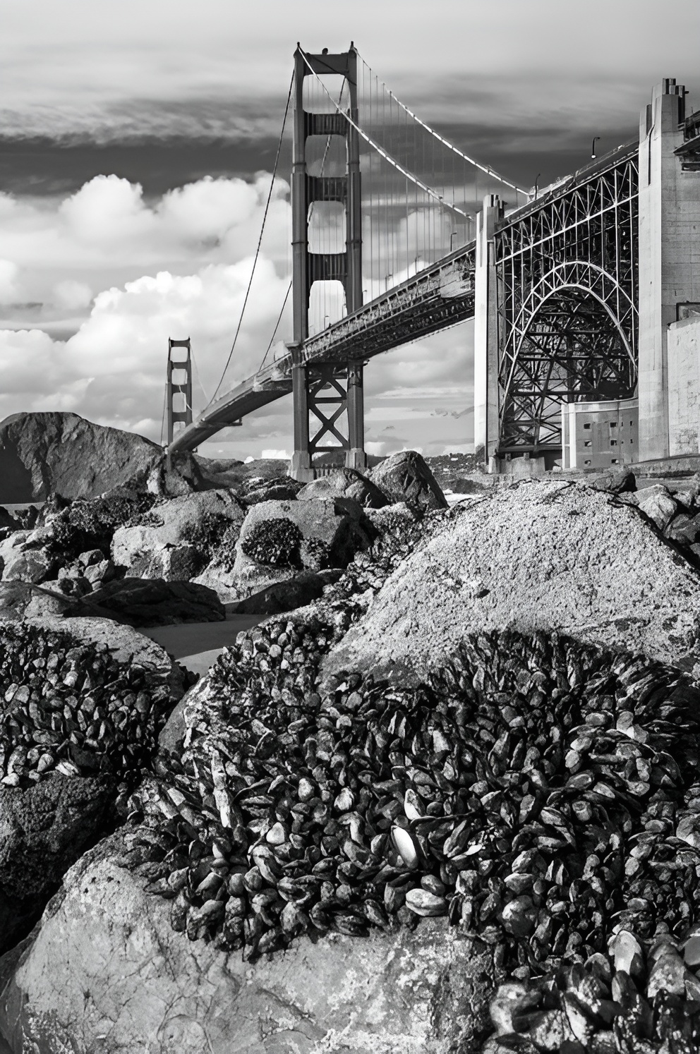 36 Views of the Golden Gate Bridge