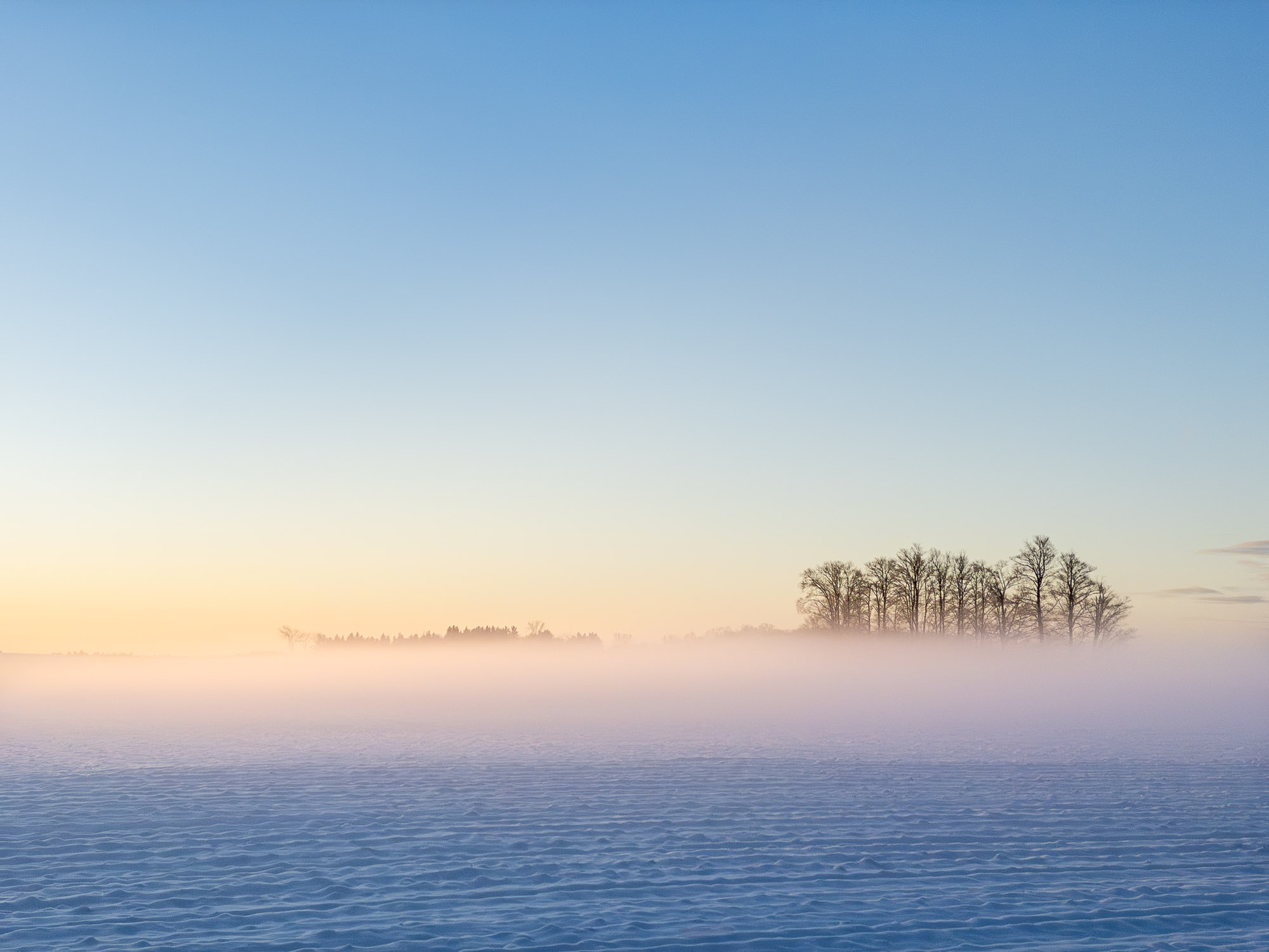 Early Winter Dawn.