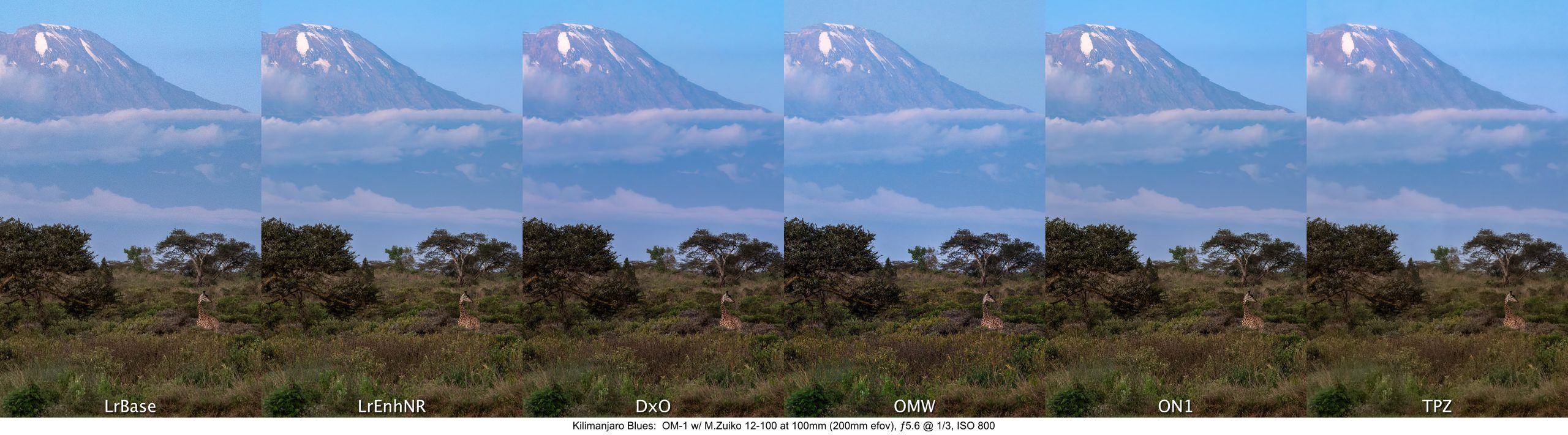 Kilimanjaro Blues: 1500x2400px crops. The full size of this le is 9000x2500 pixels. For me, the LrEnhNR
produced slightly more 3D mountain detail and a more natural-looking sharpness in the foreground. DxO,
ON1 and TPZ all appear slightly over-sharpened, which was mostly tamed by ensuring Detail Sharpening in
Lightroom was set to ‘0’ and Texture was reduced to –30 to –50.