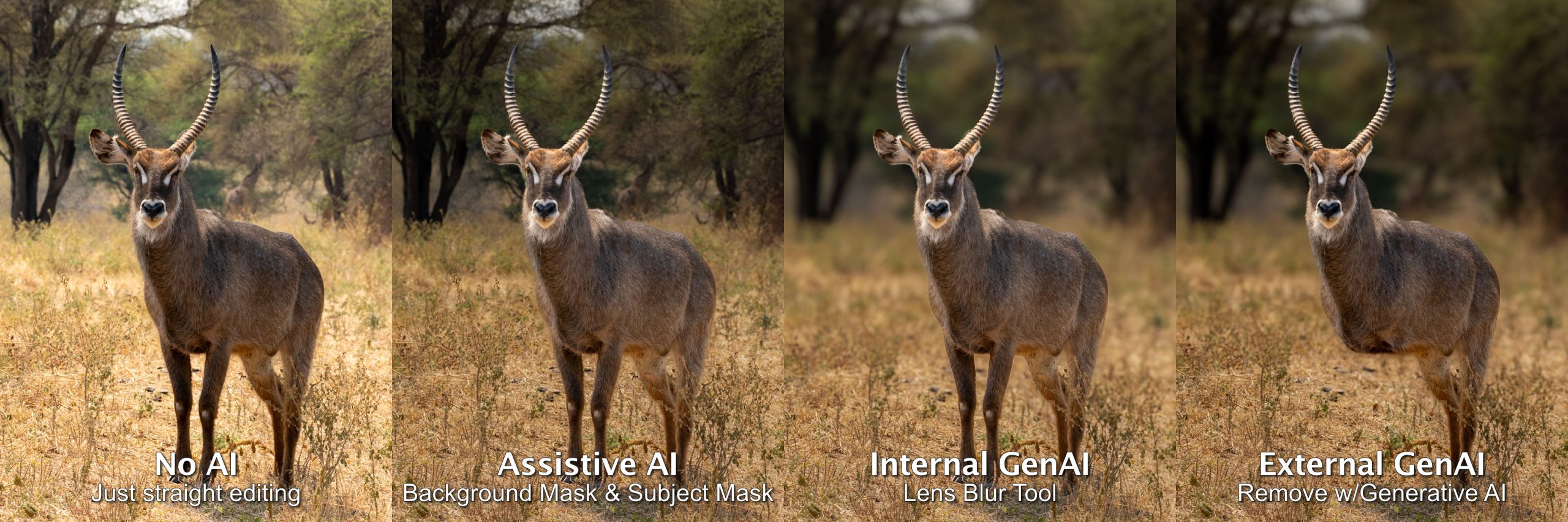 Male Waterbuck, Tarangire National Park, Tanzania
illustrating different uses of AI—only External GenAI introduces new pixels from third-party images.