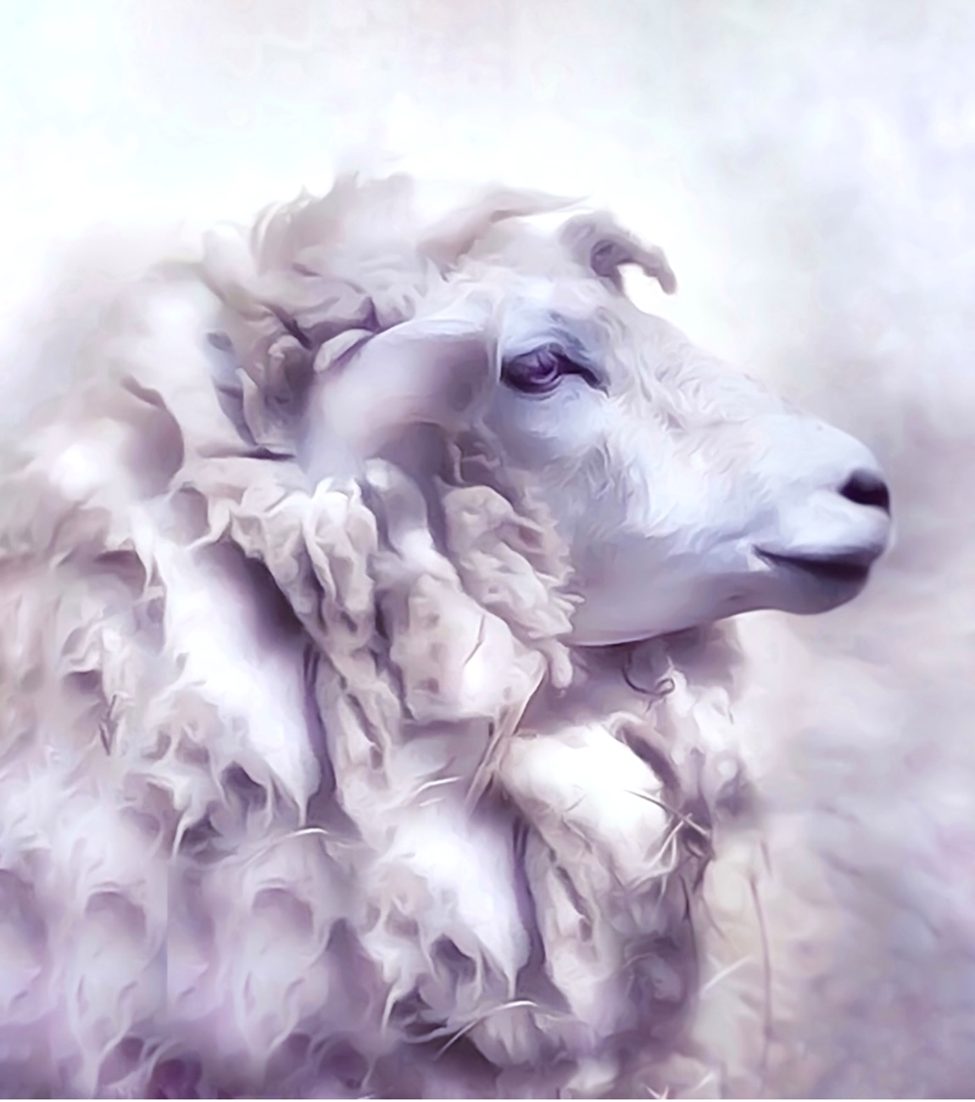 Adrienne Anbinder’s digital mixed media portrait of a sheep in soft pastel tones, showcasing the interplay of light and texture