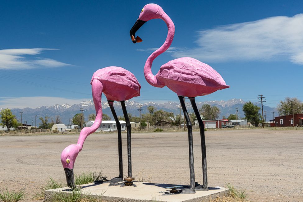 Two large pink flamingo sculptures with metal legs standing on a concrete base in a rural setting, with a backdrop of mountains and a bright blue sky. This quirky roadside installation captures the essence of finding unique perspectives in photography.