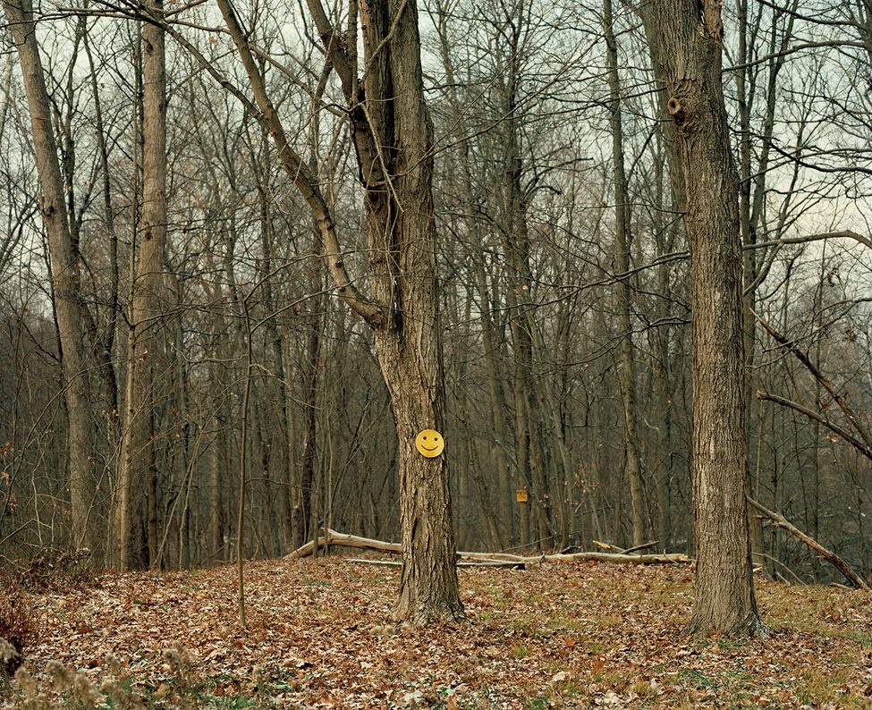 "A bright yellow smiley face sign nailed to a tree in a desolate forest, captured by photographer Dana Stirling for her analog photography book 'Why Am I Sad.' The contrast between the cheerful symbol and the bleak, leafless woods reflects themes of emotional dissonance and hidden sadness.