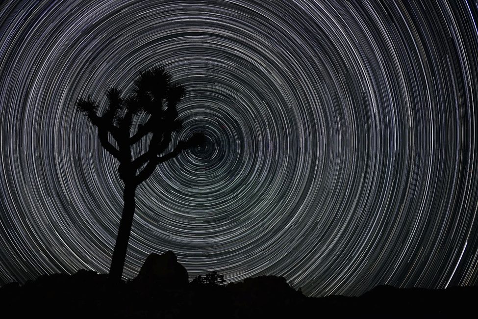 Long-exposure star trail photography with a silhouetted tree, showcasing the Nikon Z5 II’s astrophotography capabilities.