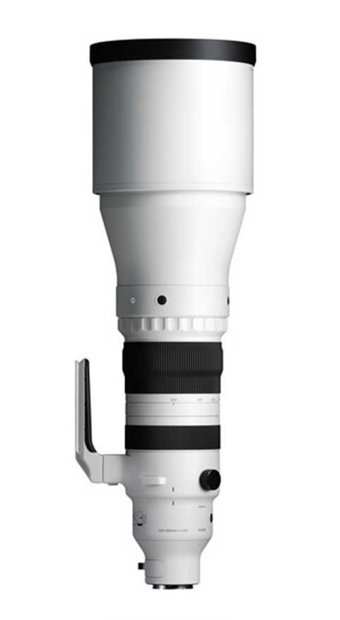 Sigma 300-600mm f/4 DG DN