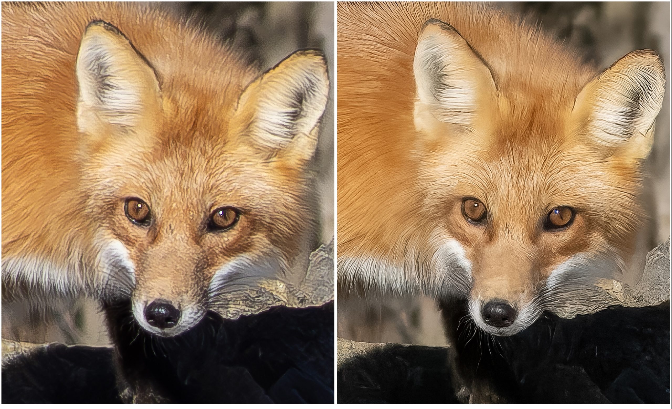 Fox LrEnhNRTIFEnhSR vs TPZRawDN Sharp x