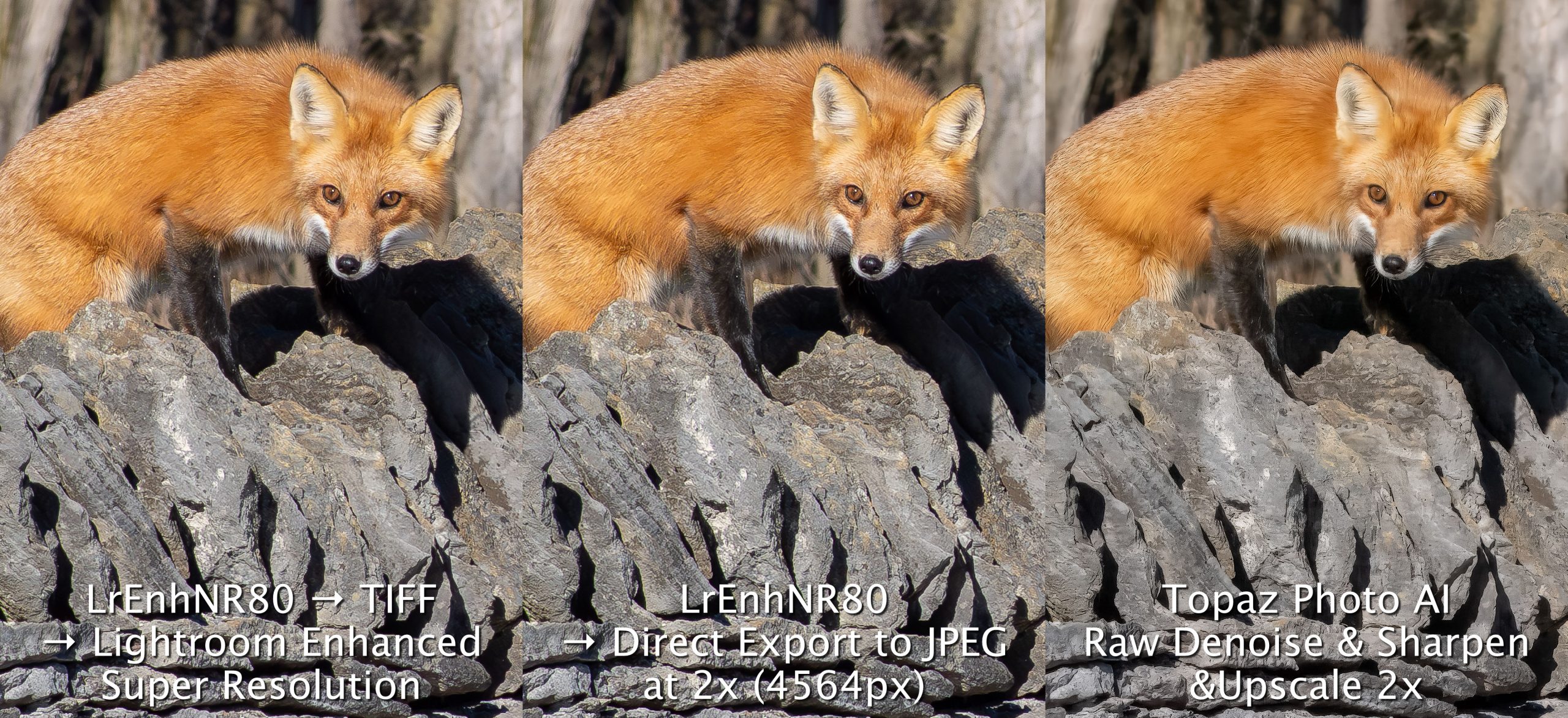 Fox up