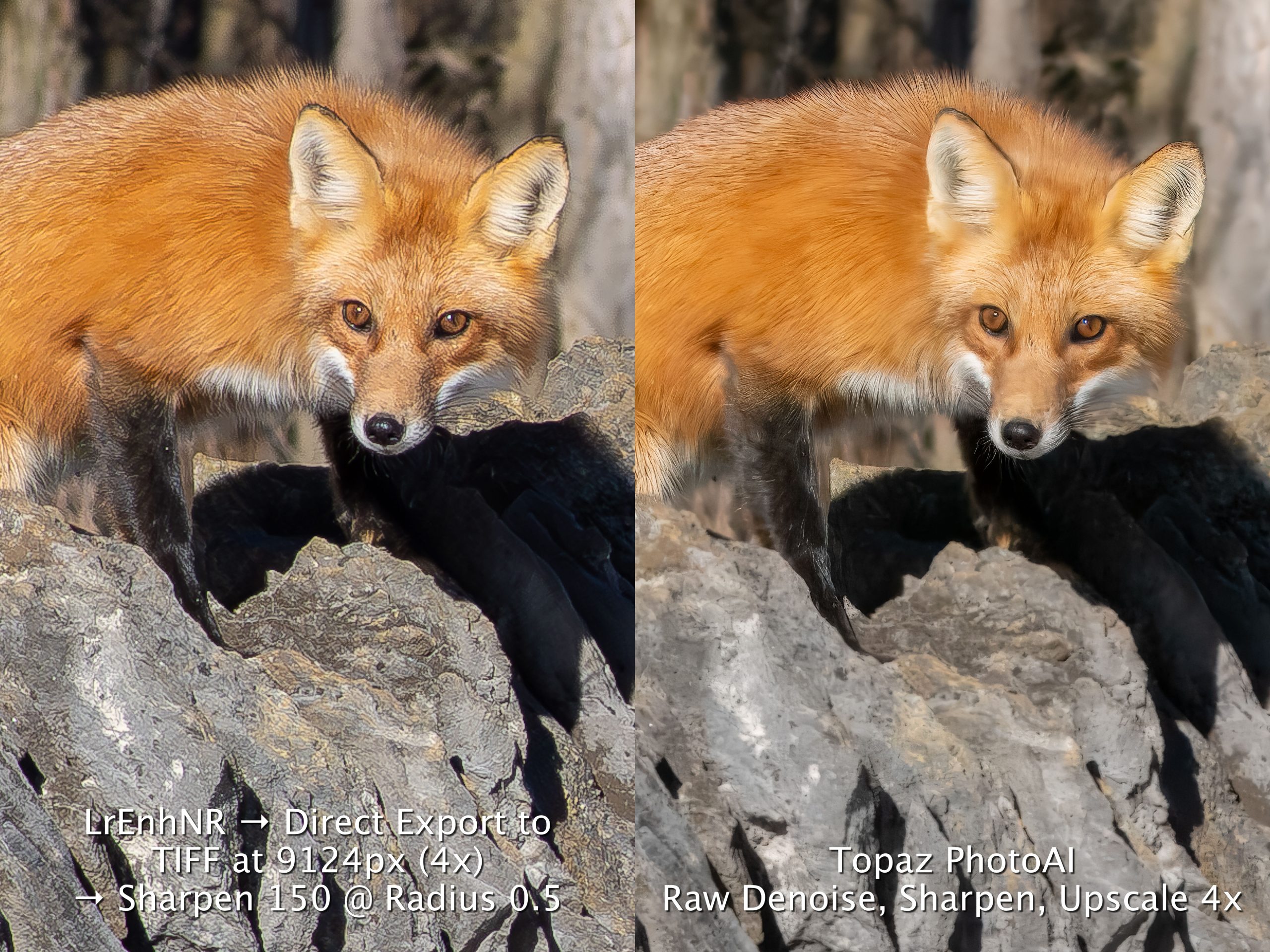 Fox x up