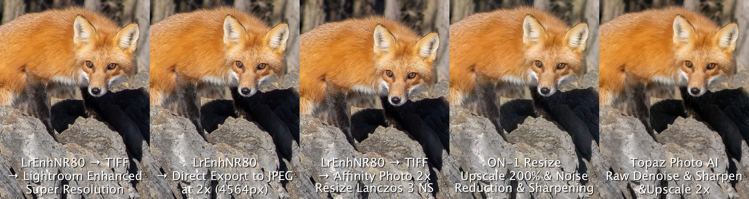 Fox up