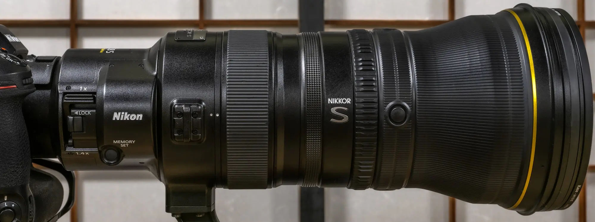 NIKKOR 400mm f/2.8 Z Lens Review: My Ultimate Field Lens