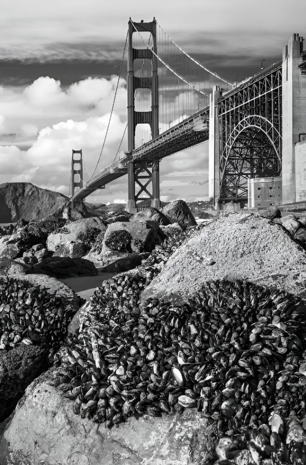 arthur drooker golden gate bridge