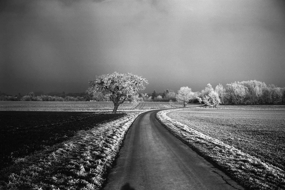 Leica's $10 Film: Is Monopan 50 Worth the Premium? - Luminous