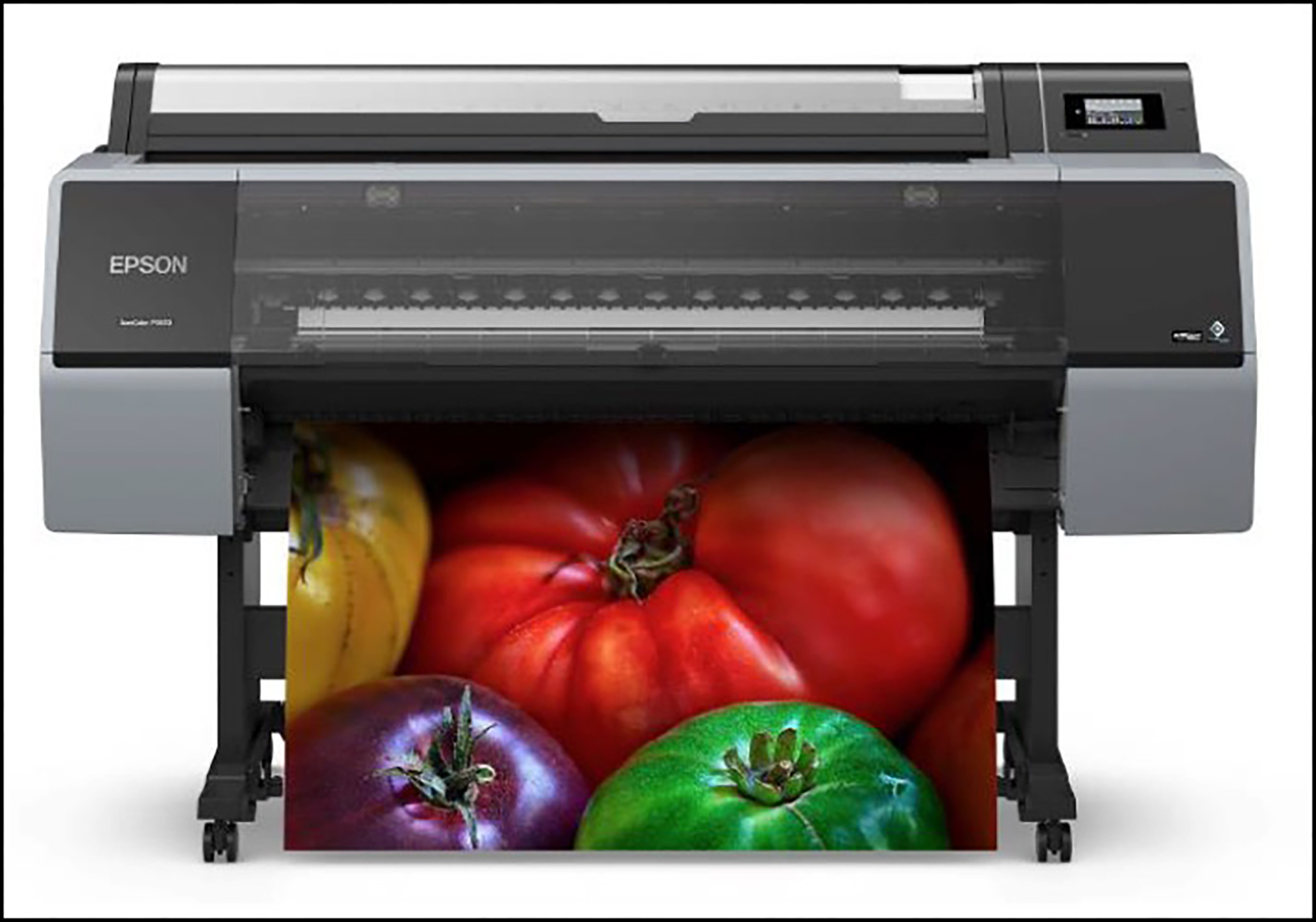 Figure 1. Epson SC-P7370