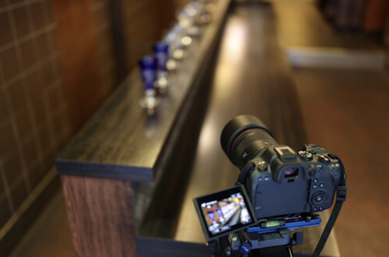 Canon VCM unit mounted on a camera