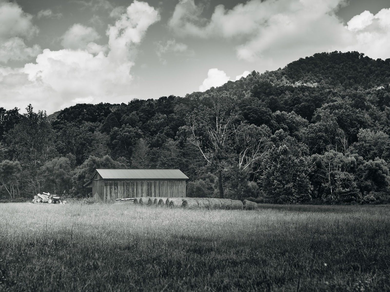 (Hey Barn!, GFX100S Mitakon 65mm, f 2.8)