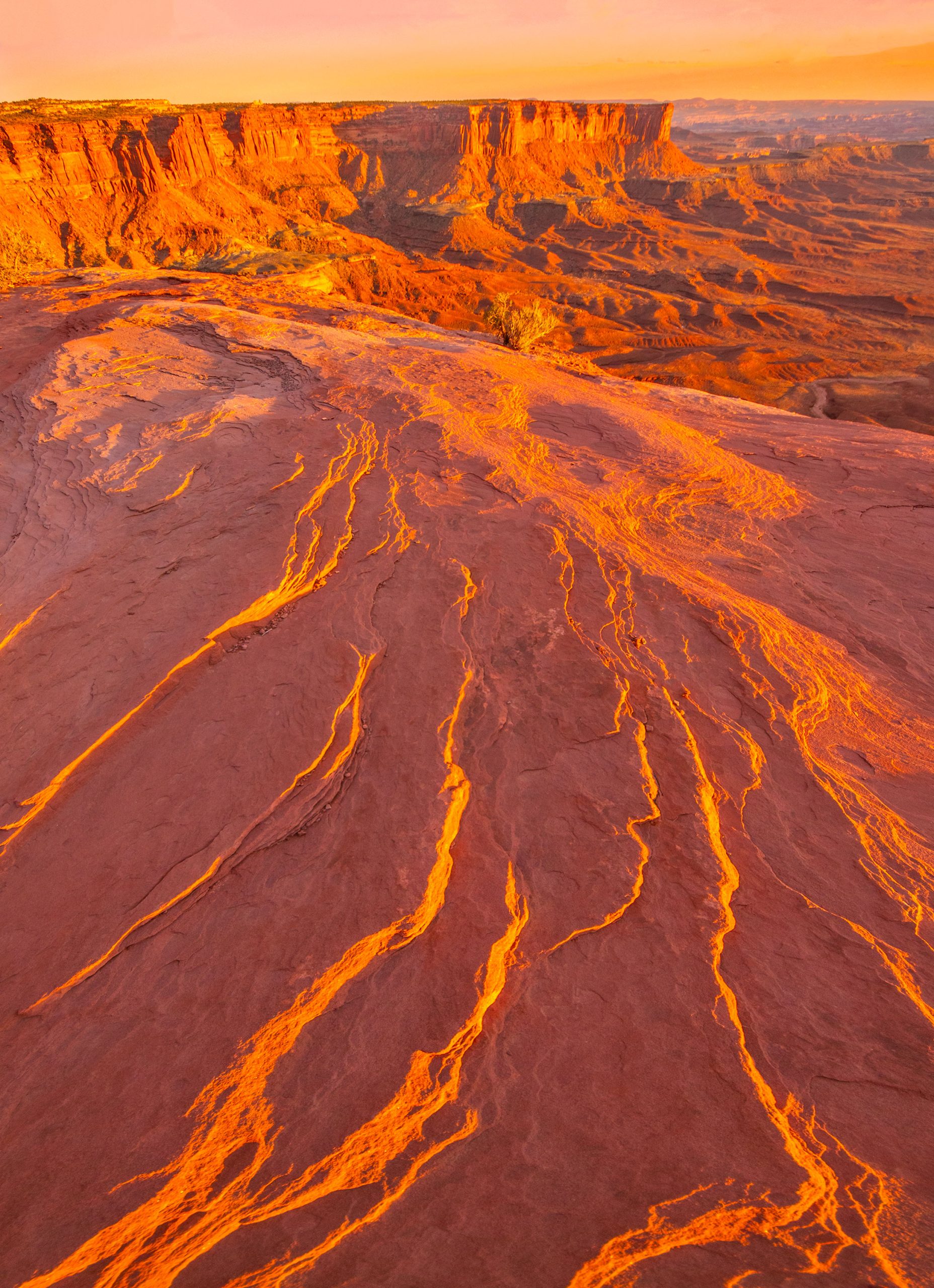 IMG Warp+resize Flat