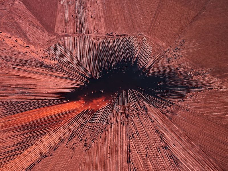 edward Burtynsky Flowers