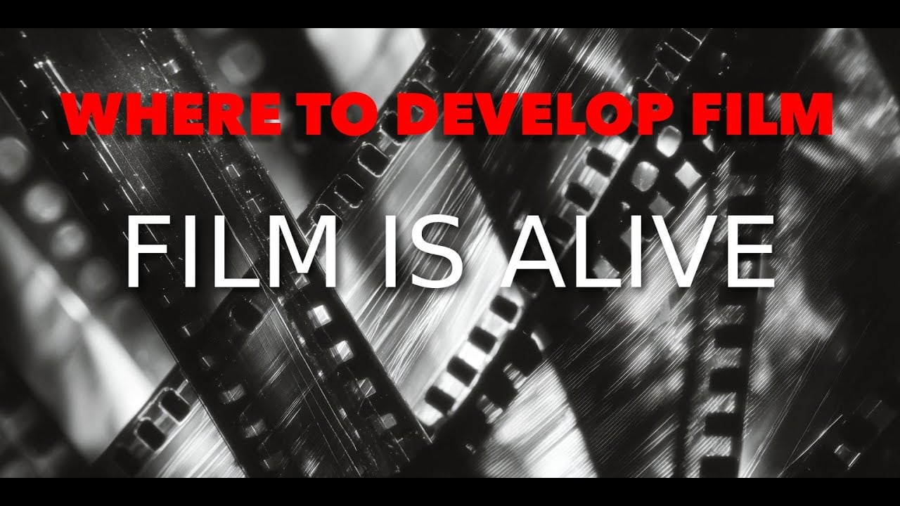 film is alive