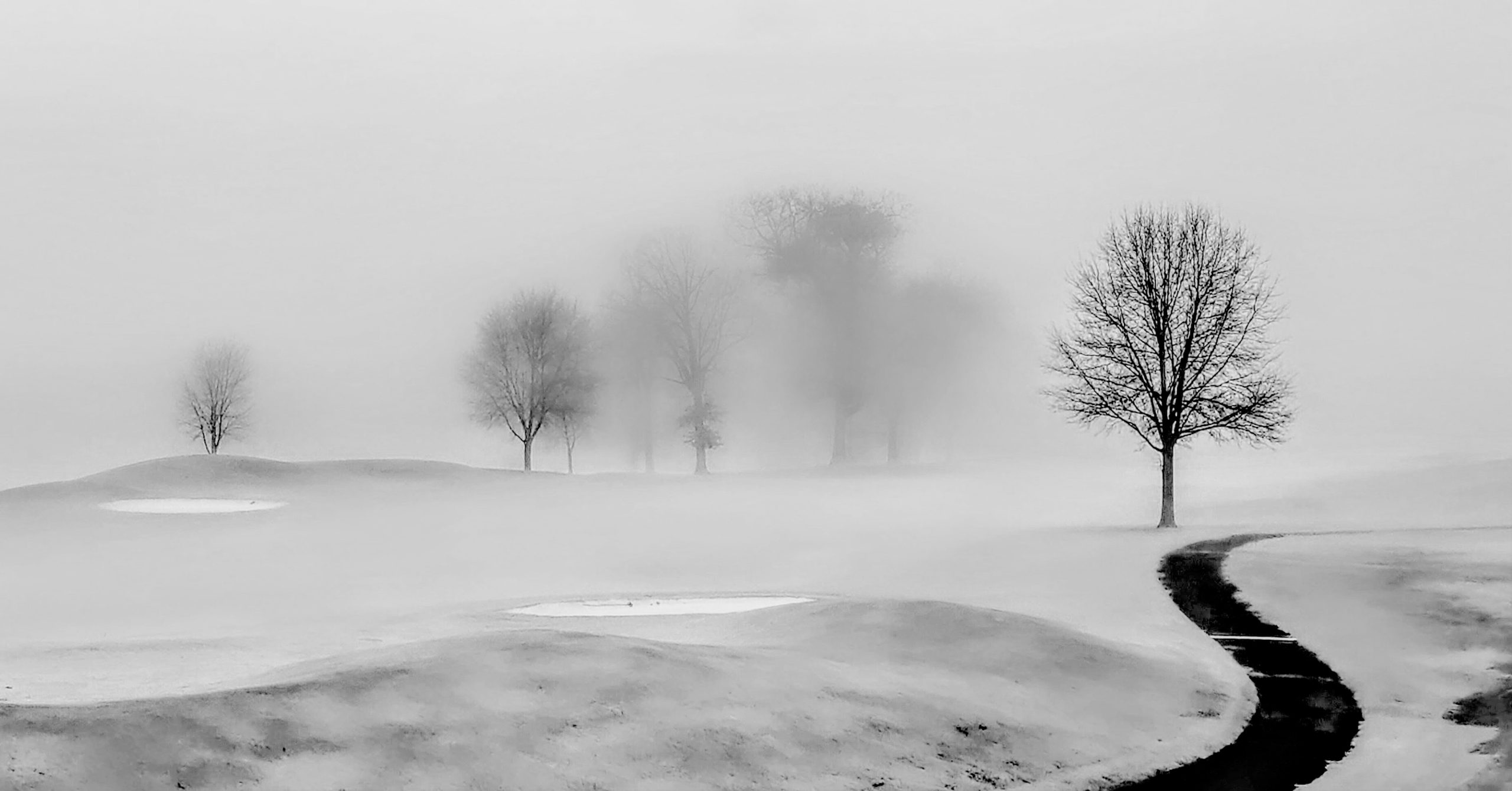 lynn carter solitude