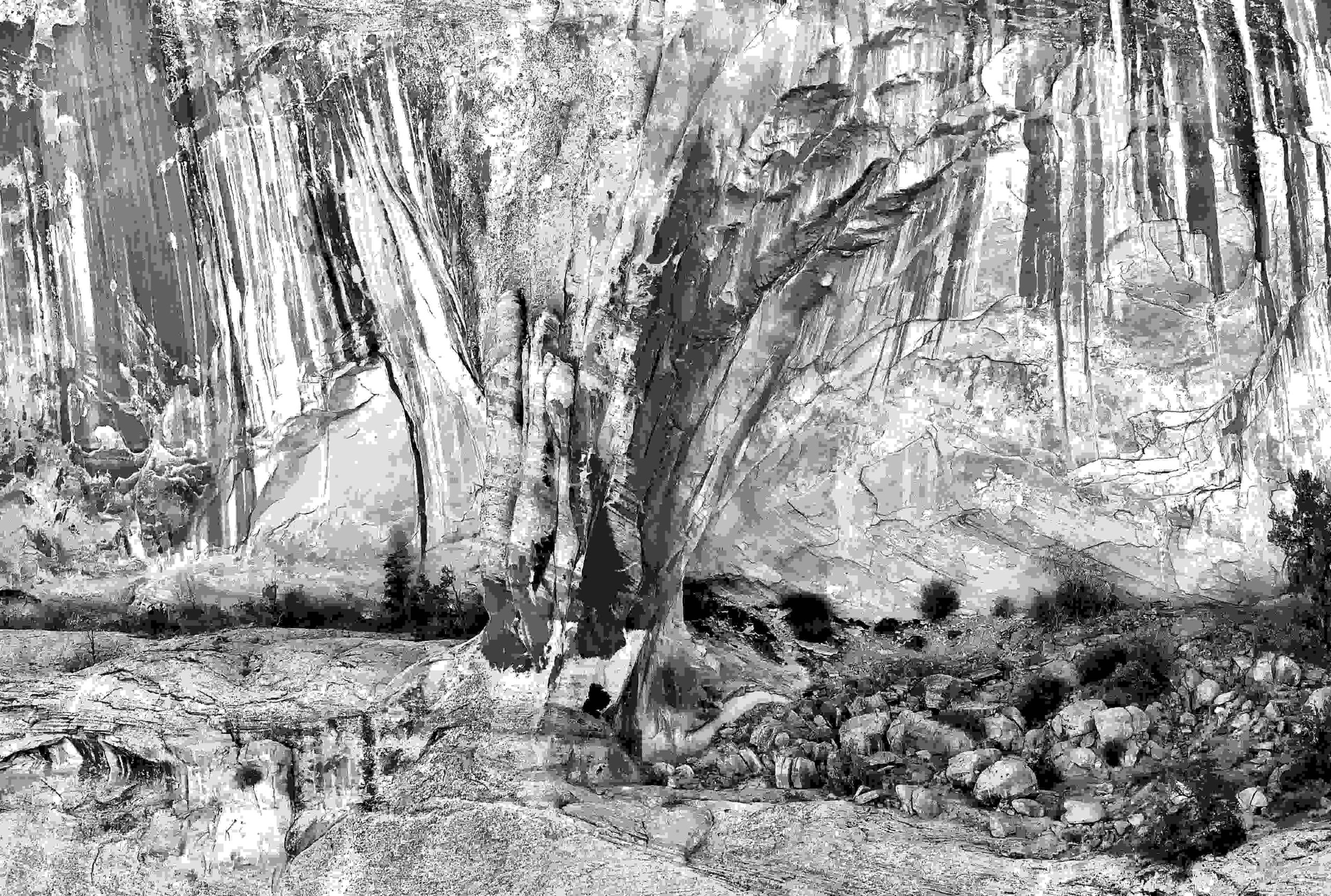 hans schmitt time GREYFOLDED