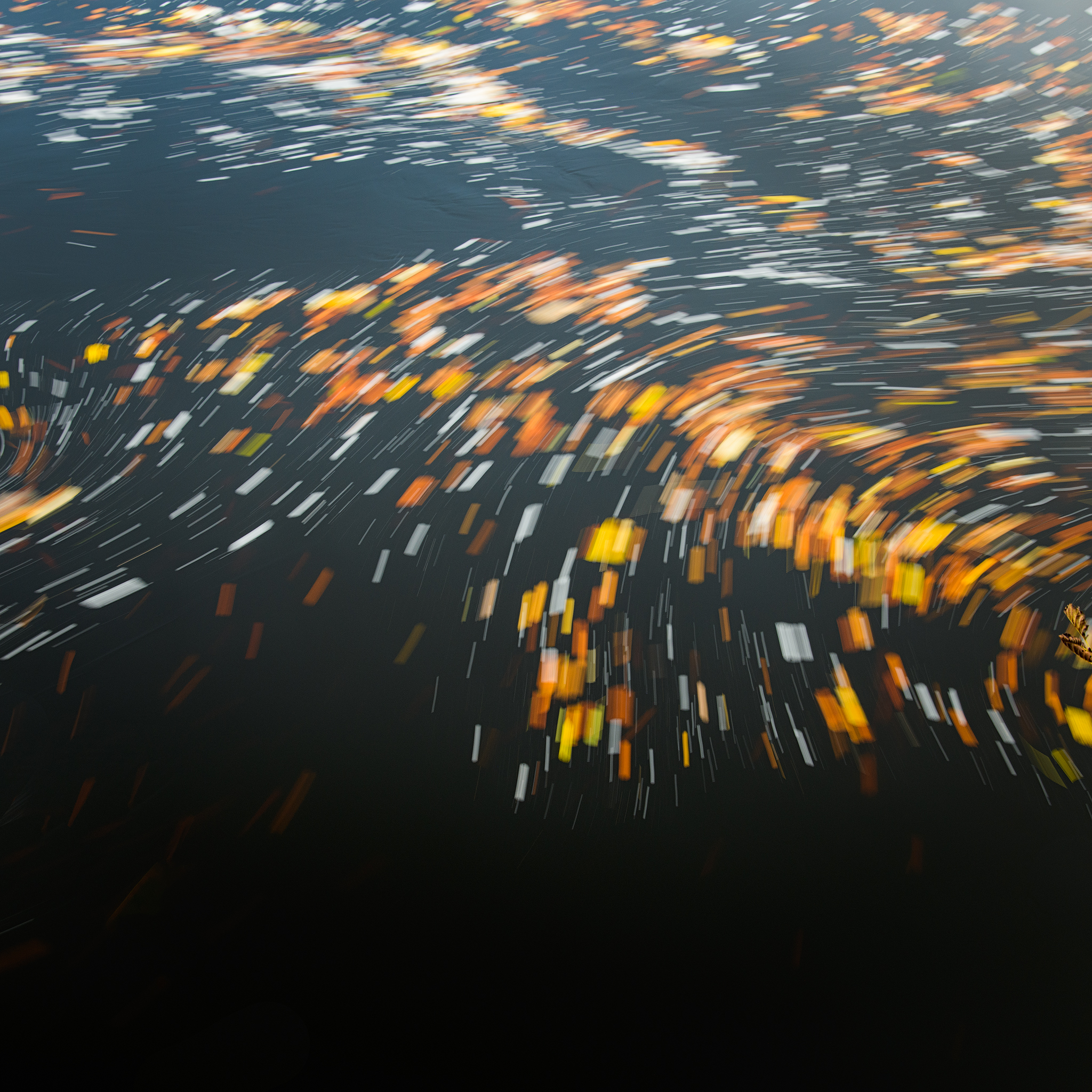 ruth grindrod time autumn leaves faskally D sharpened