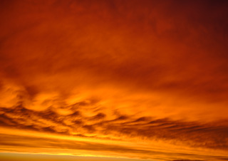 erik brammer april Lichtwiese