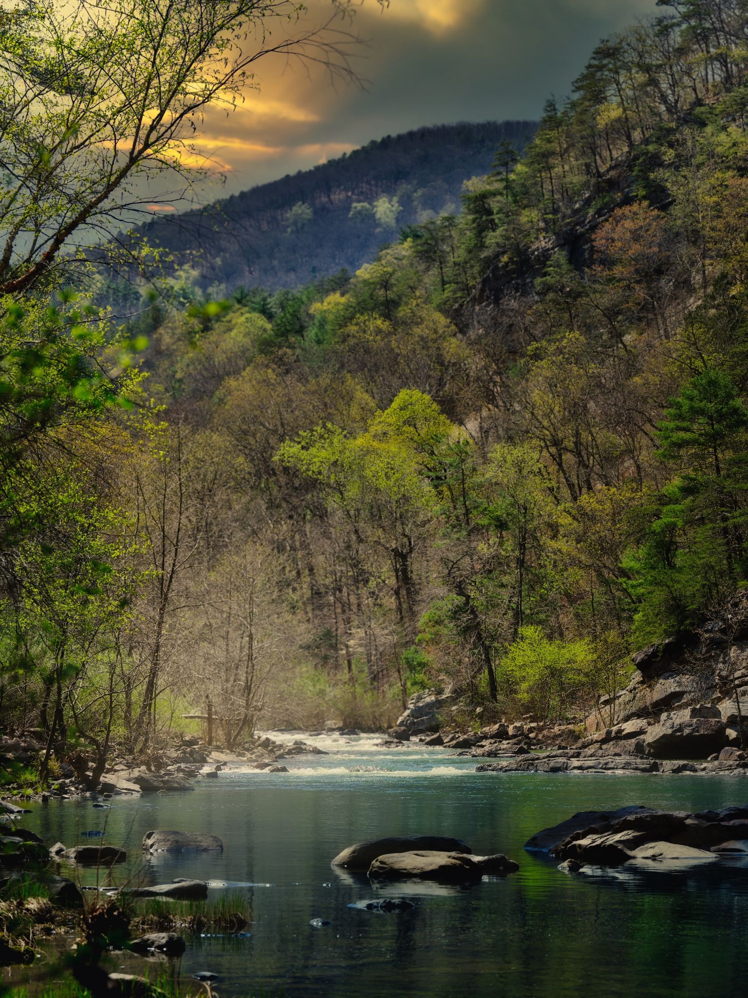 River flowing through forest valley with dramatic sky