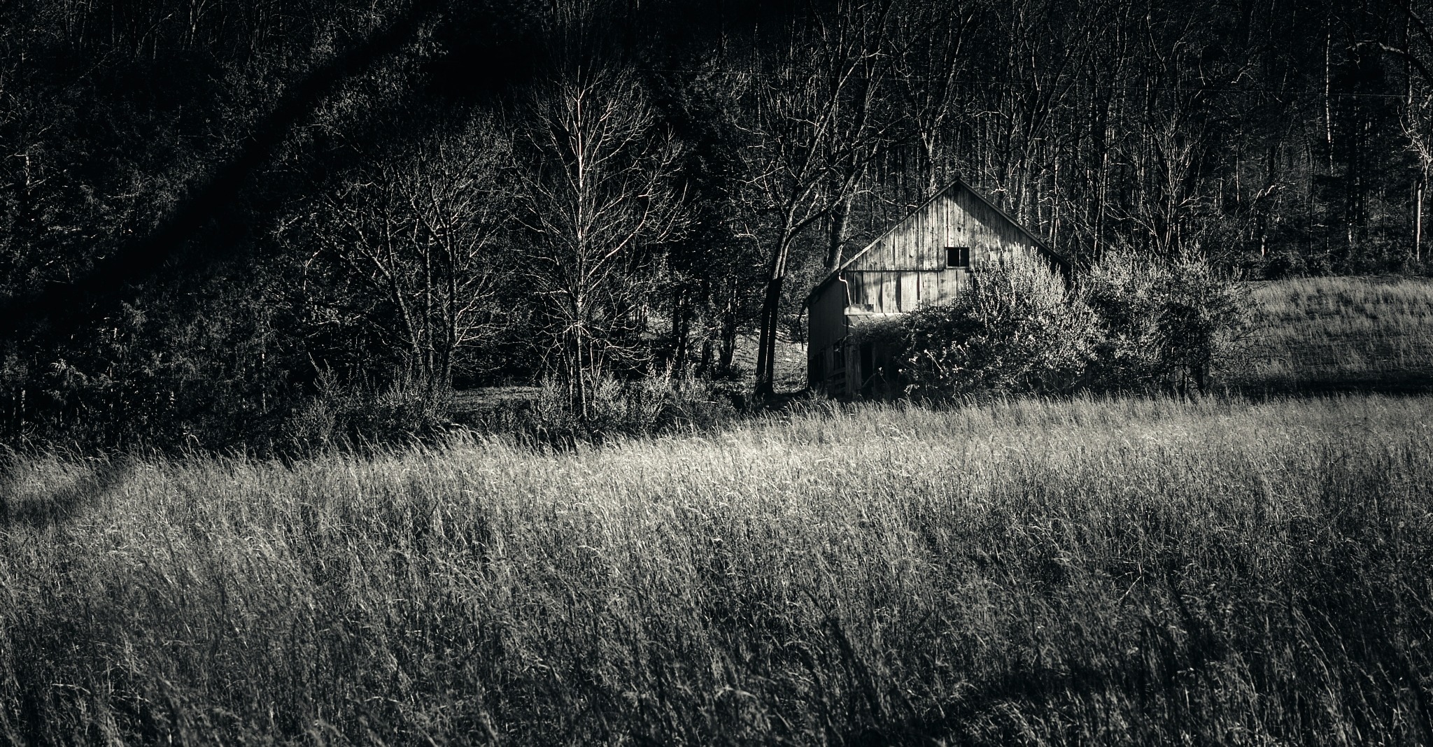 Black and white image of barn in grassy field with trees behind
