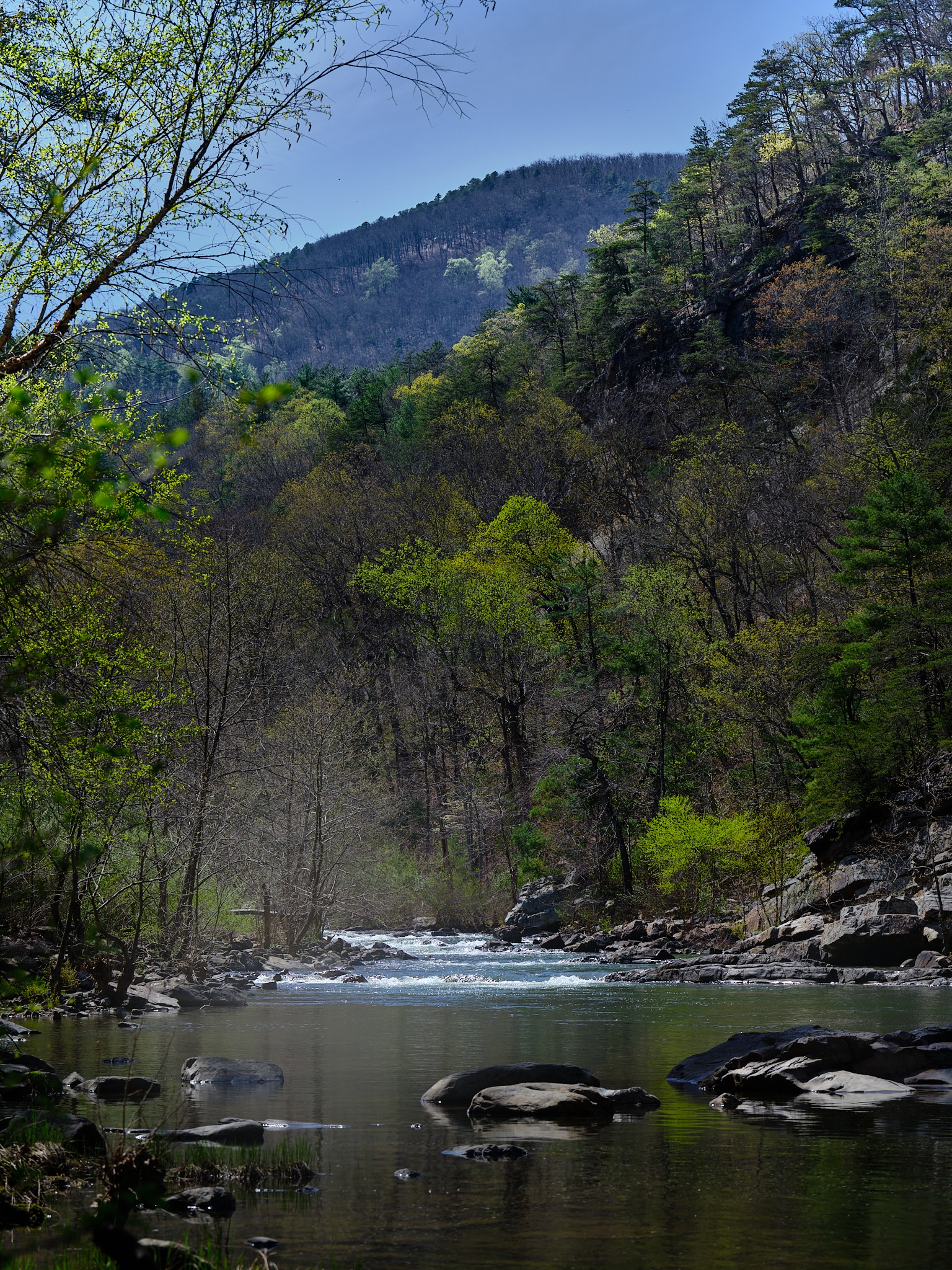 River scene with natural colors and forested hills