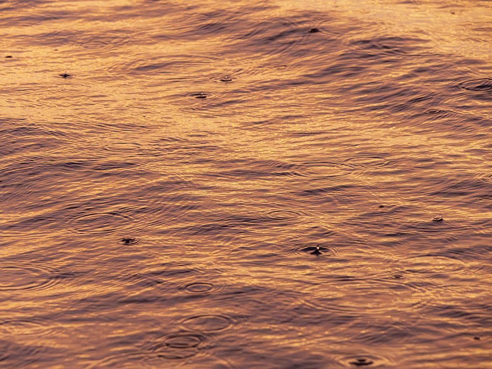 Golden water at Sea Island, Georgia, with raindrop rings and gentle ripples.