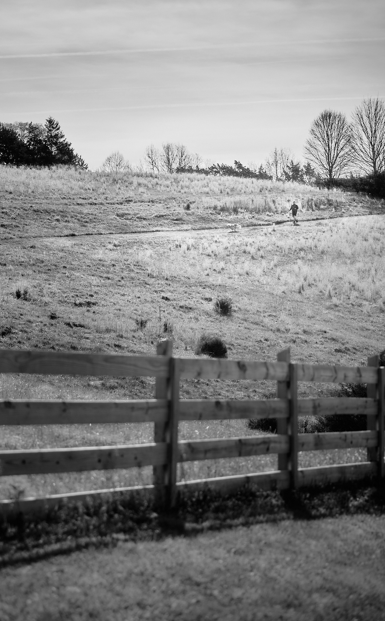 Black and white hillside with fence and two people walking