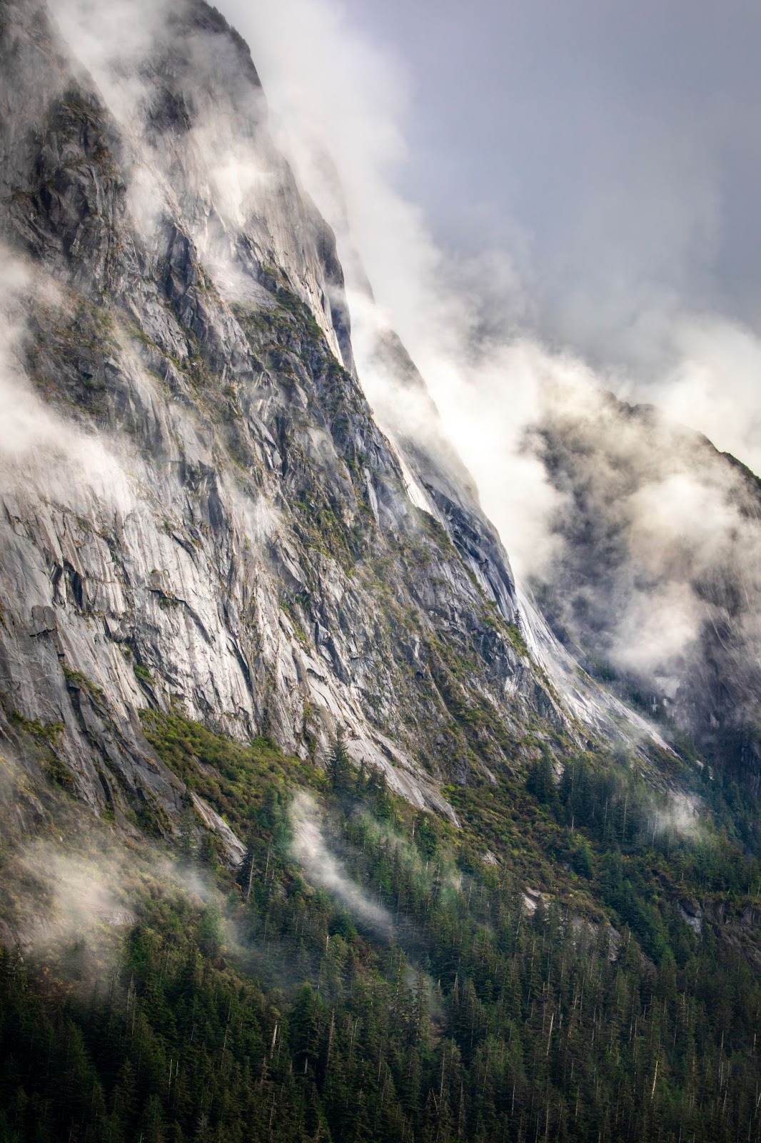 Misty mountain cliffs with forest below and drifting clouds