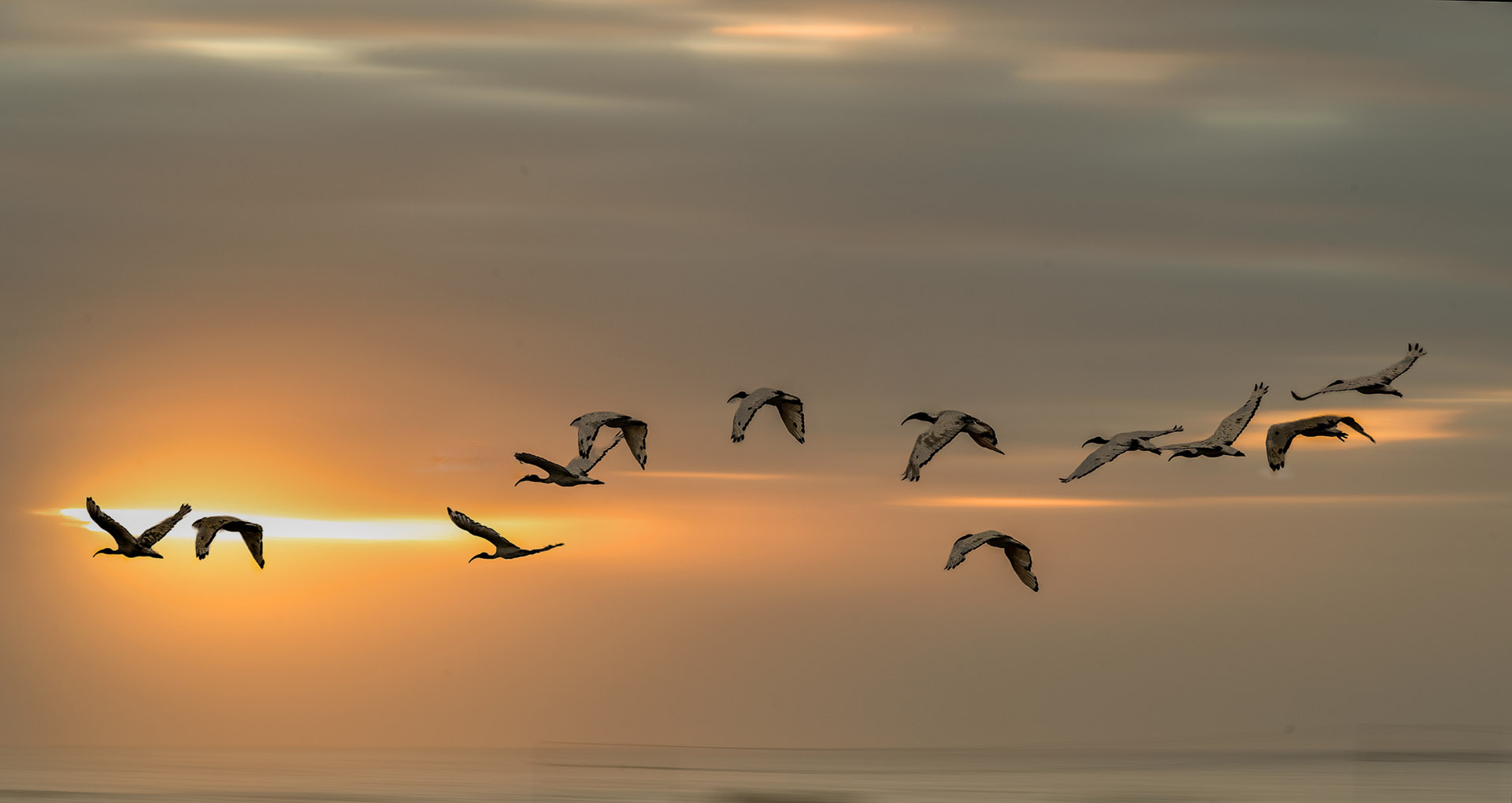 peter oosthuizen time Home time