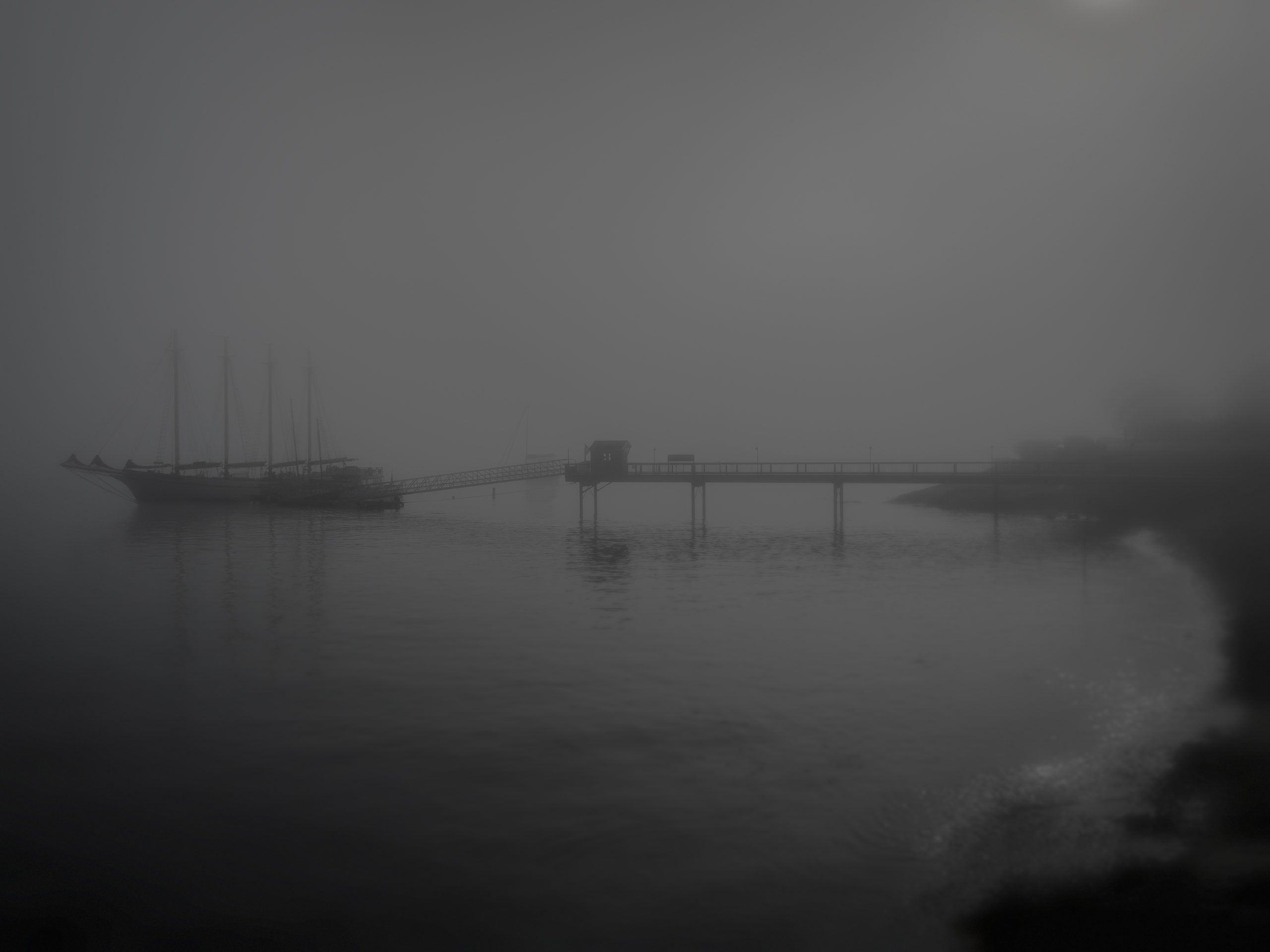 curt steyers serenity