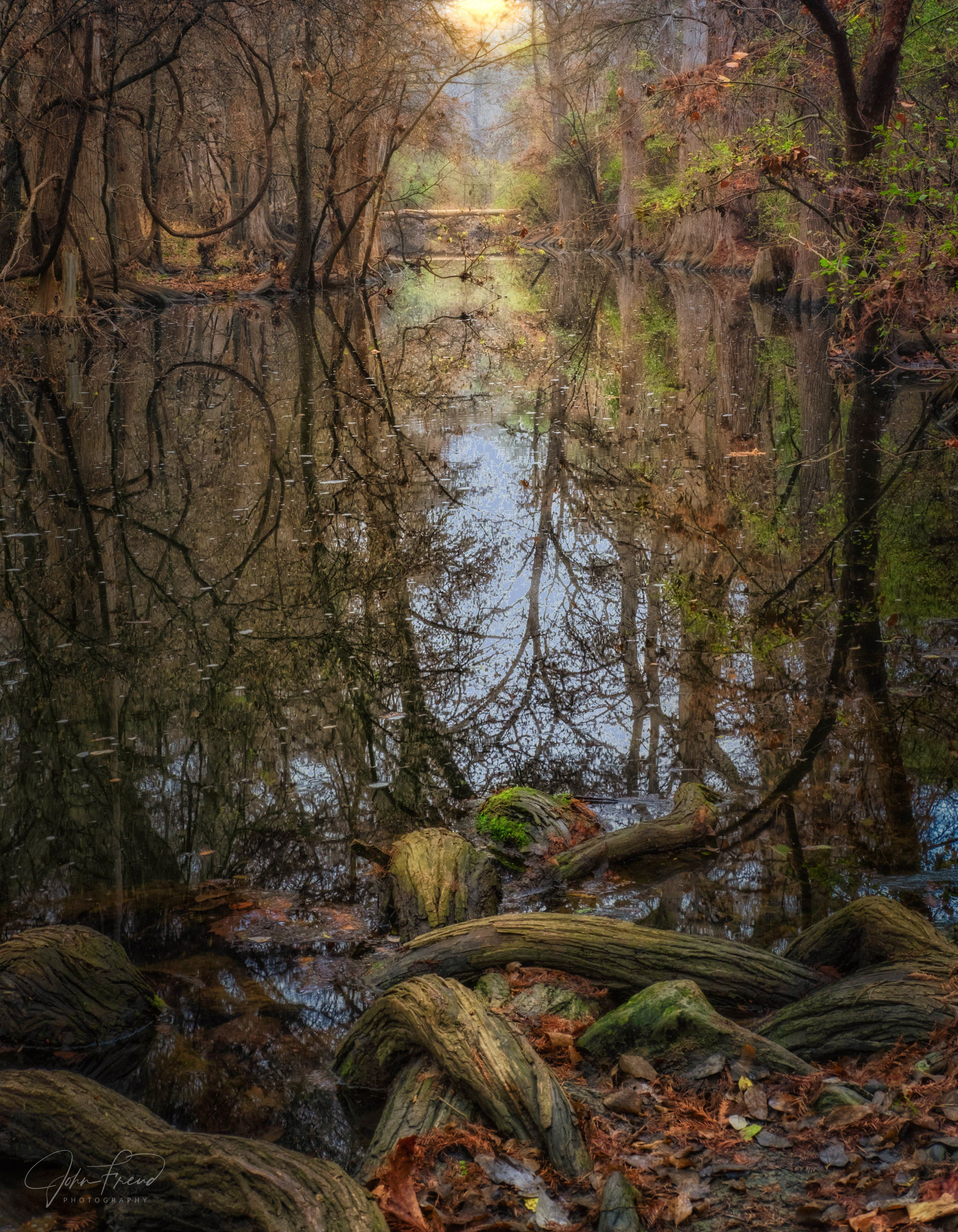 john freud serenity Reflecting Upcomig Spring on the Cibolo Creek
