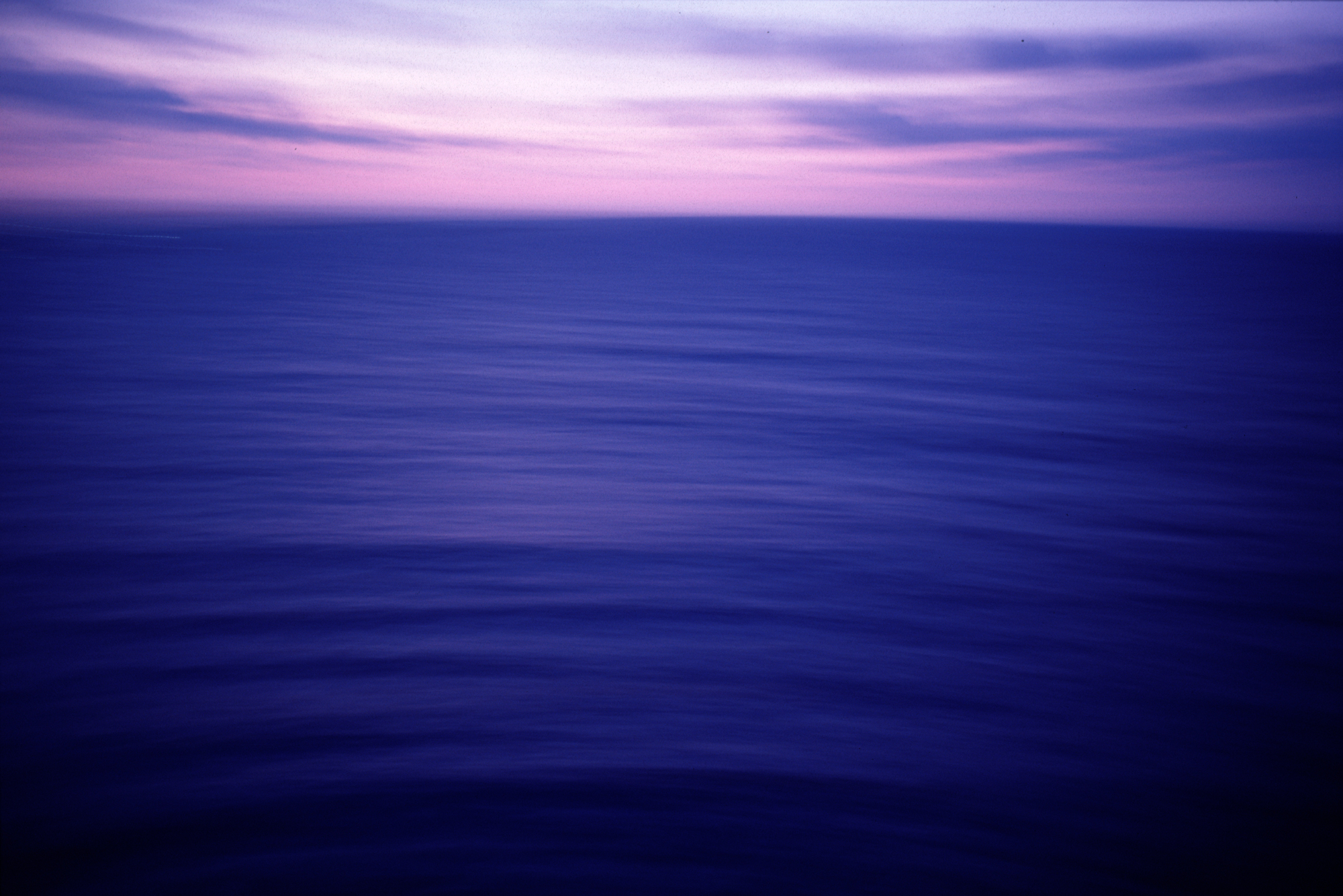 tom biondo serenity biondo caraibe