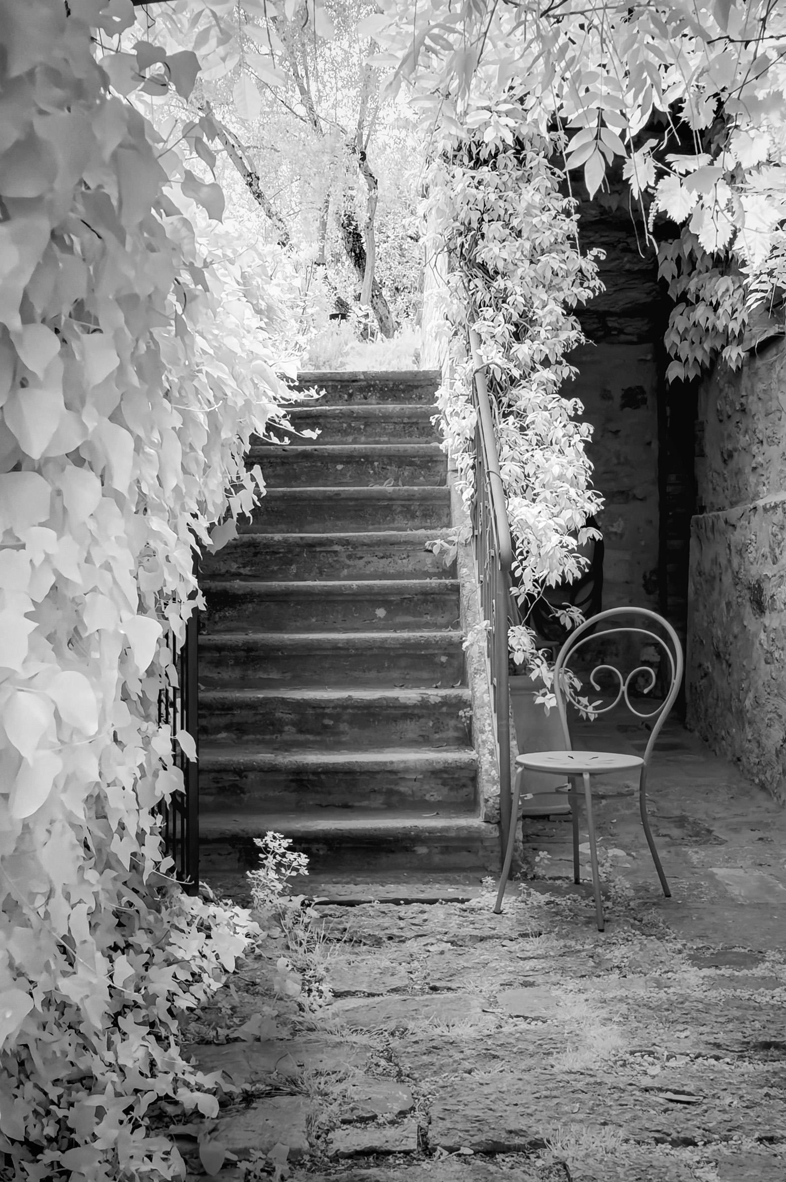 Infrared garden staircase edited in SnapSeed using selective masking and tonal adjustments.