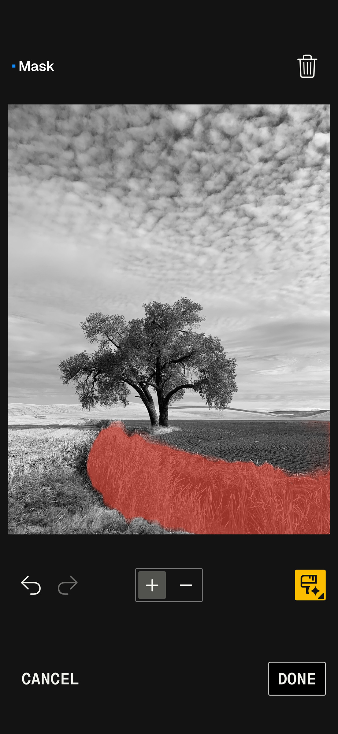 Foreground grasses selected with SnapSeed masking for targeted tonal corrections.
