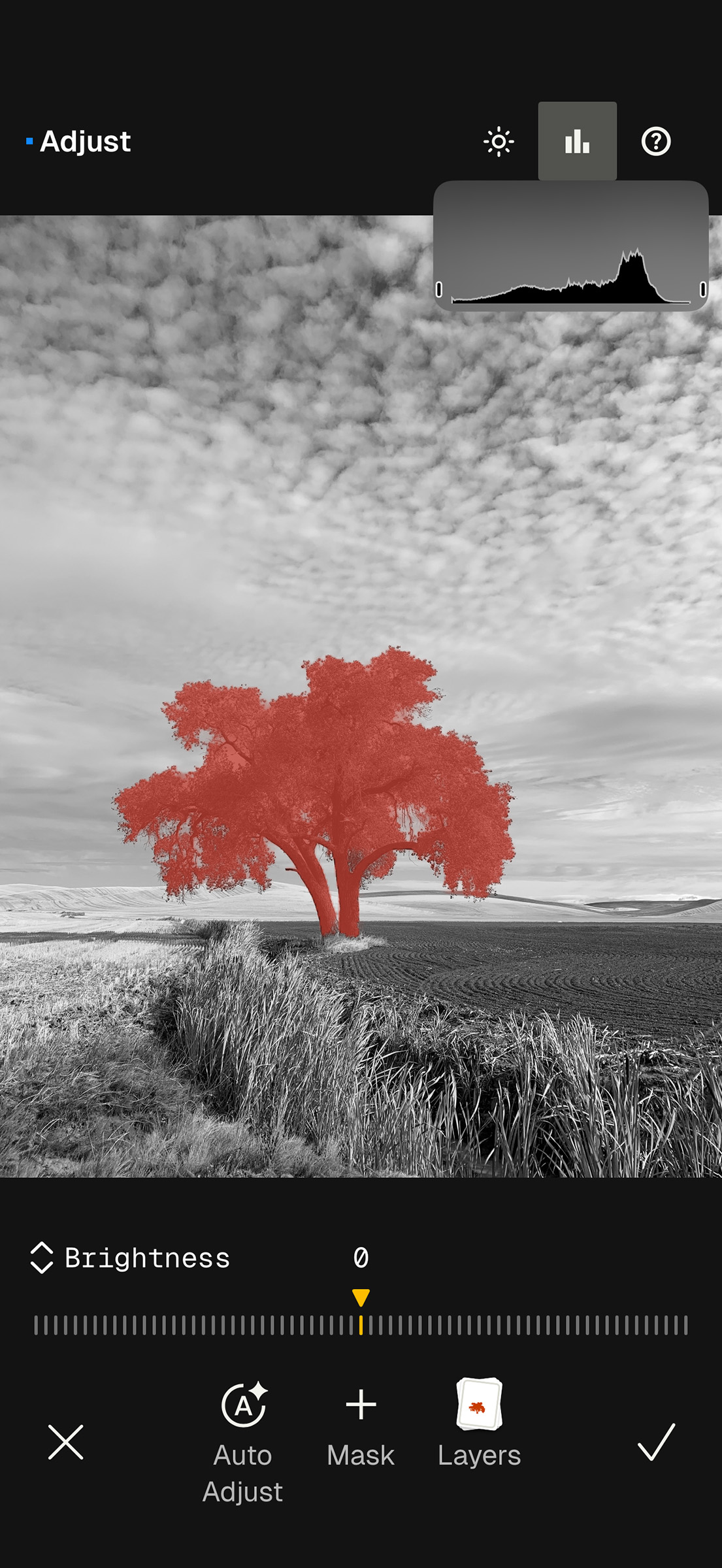 Tree selected with SnapSeed One-Touch Masking for localized editing adjustments.