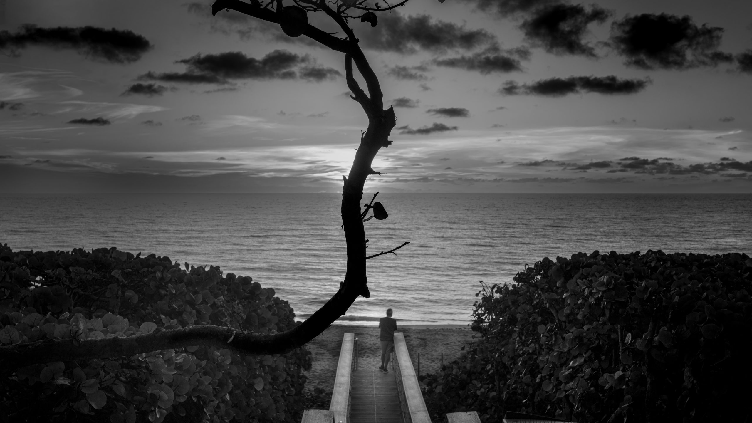 bob taylor chaos A man on beach