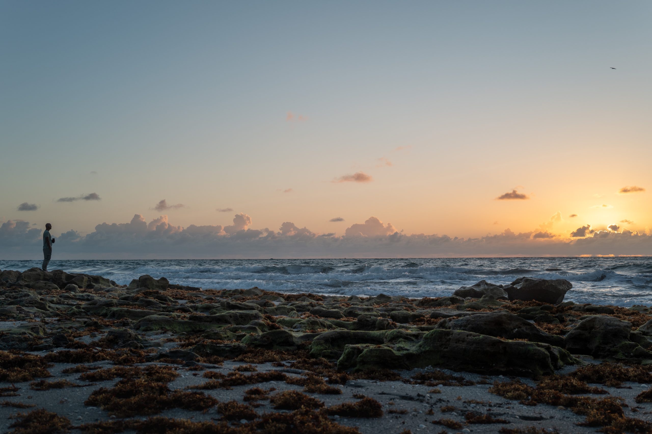 bob taylor chaos Zen on the Rocks with Sunrise v
