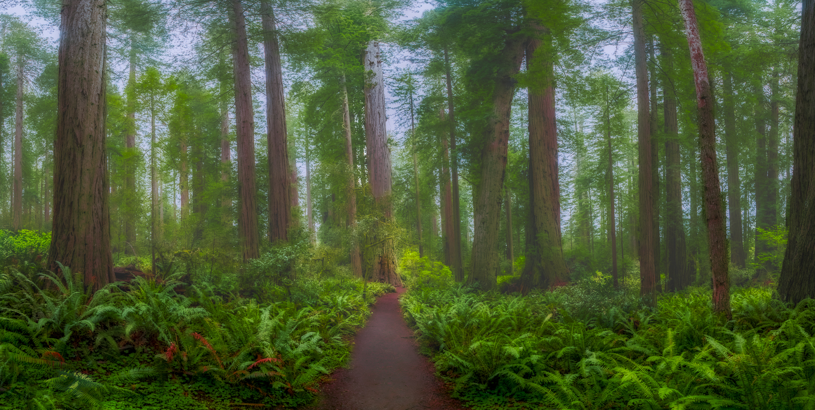 LBJ Grove Trail