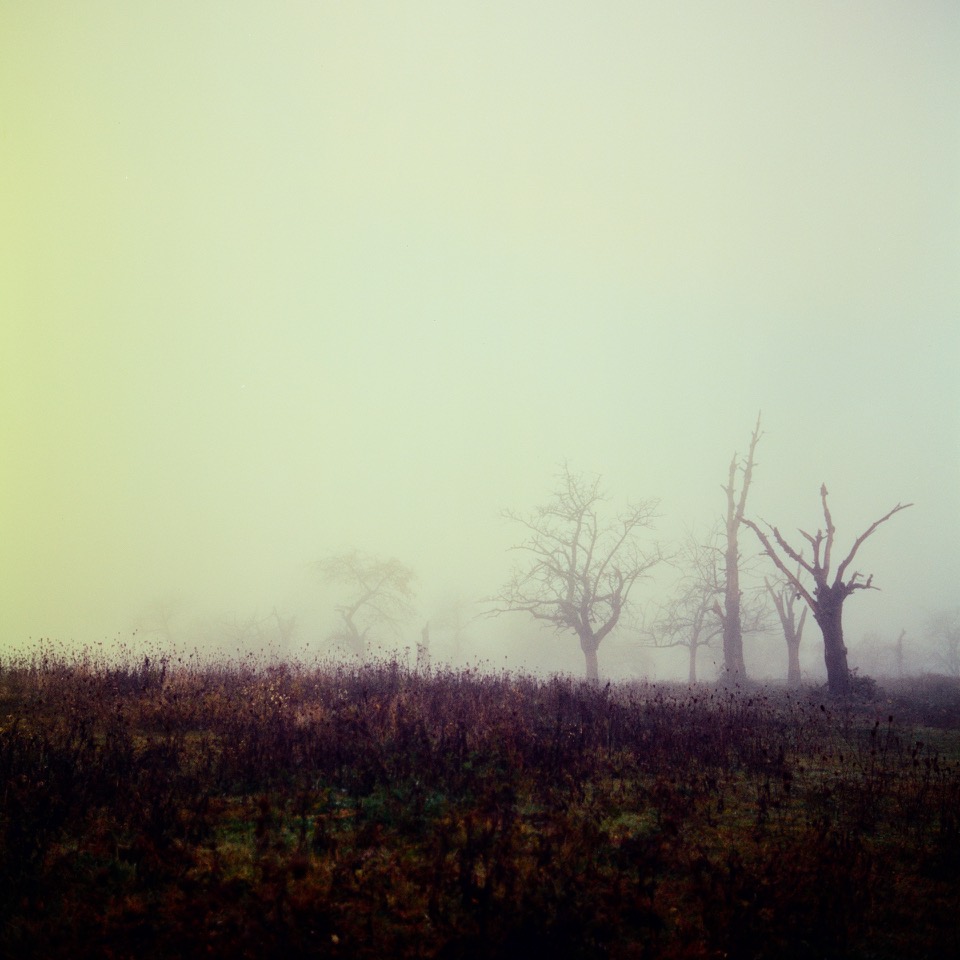 erik brammer serenity
