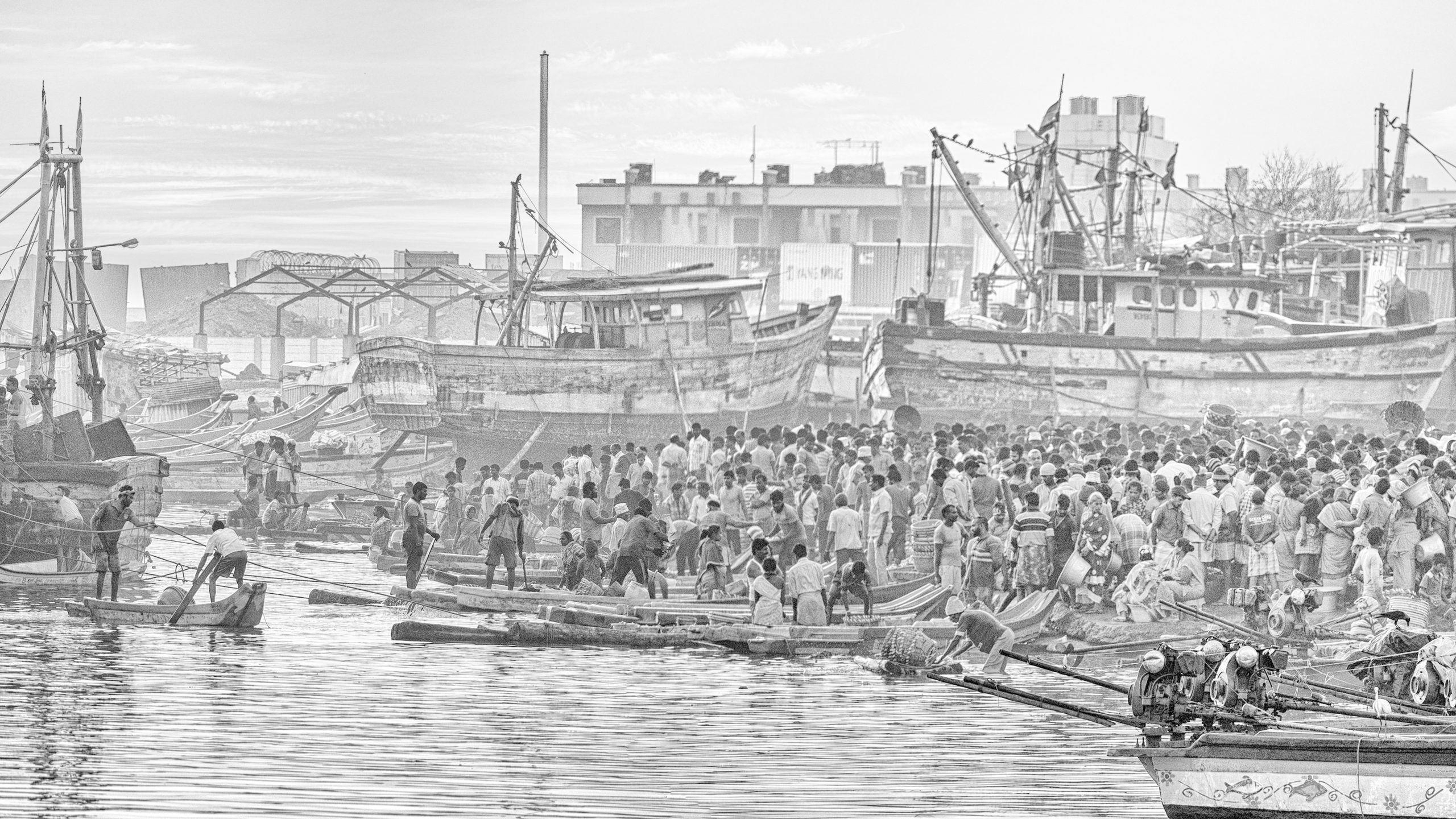 jayanand govindaraj chaos Kasimedu Fishing Harbour