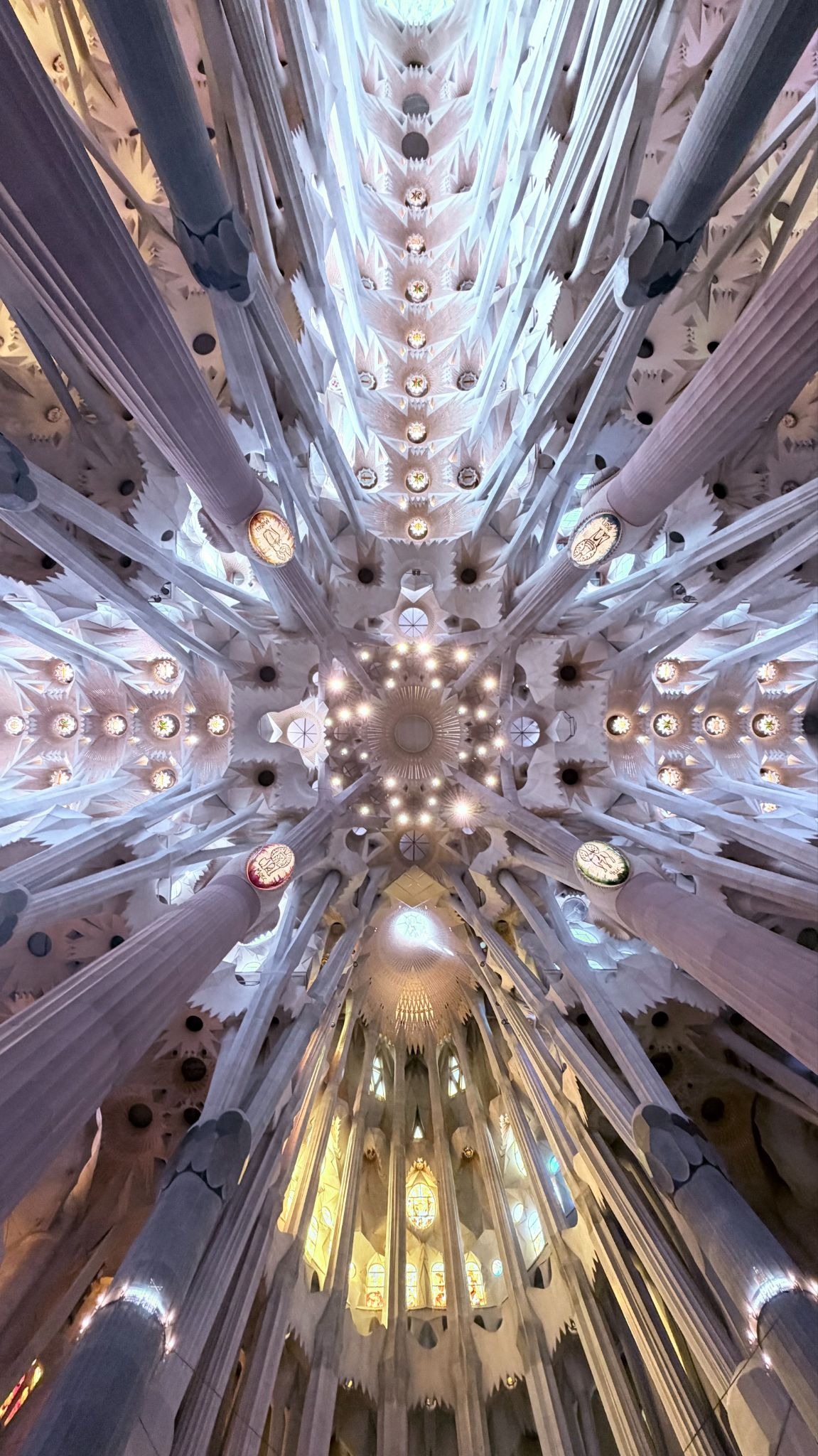 Ceiling view inside the Sagrada Família in Barcelona.