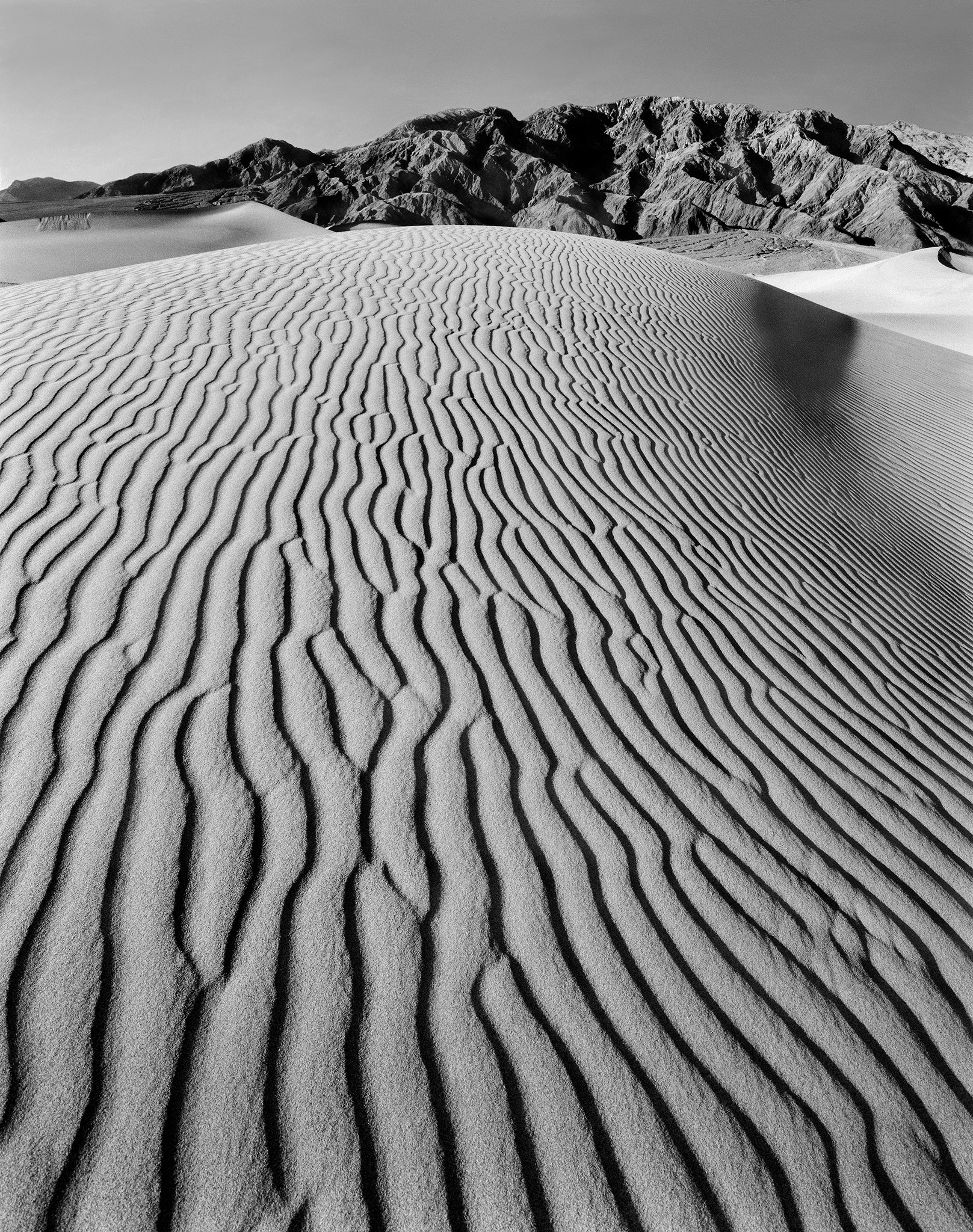 Rippled sand dunes leading toward rugged mountains in Death Valley