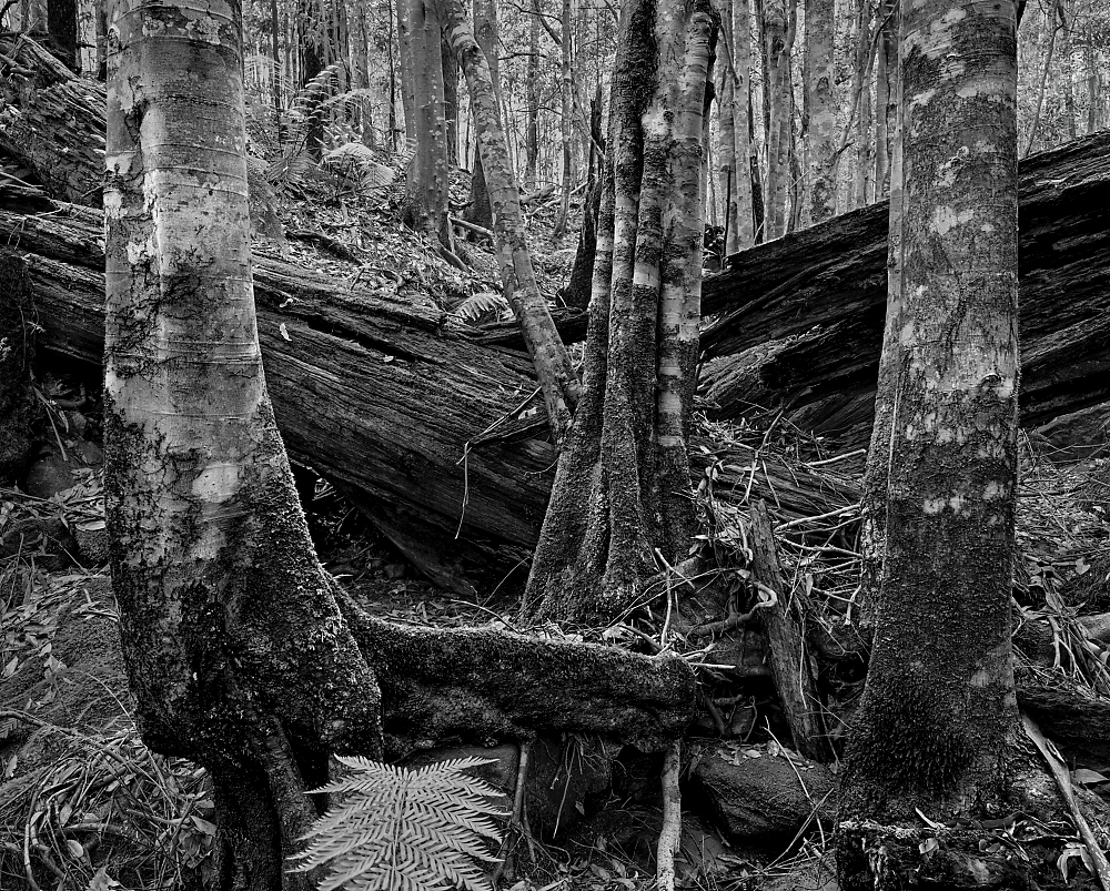 Stacked from images Method=B (R=,S=)