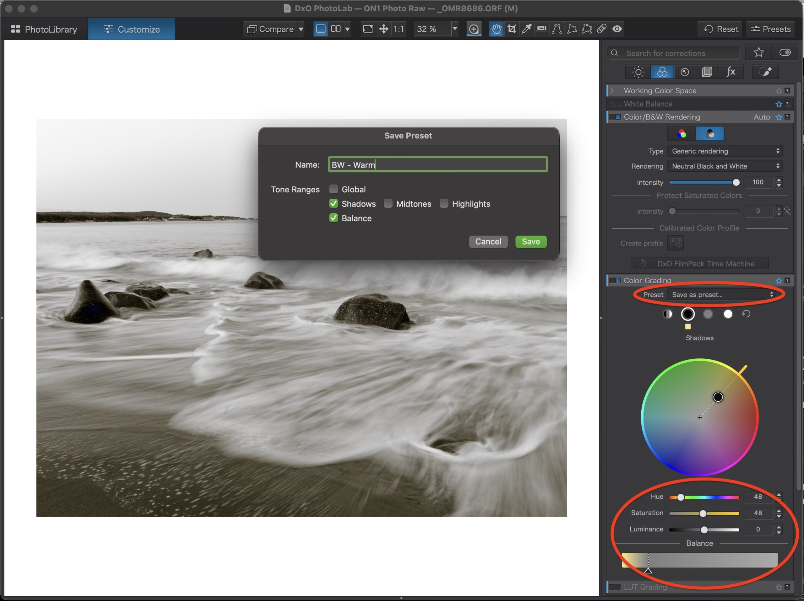 DxO PhotoLab 10 Color Grading panel showing hue and saturation adjustments
