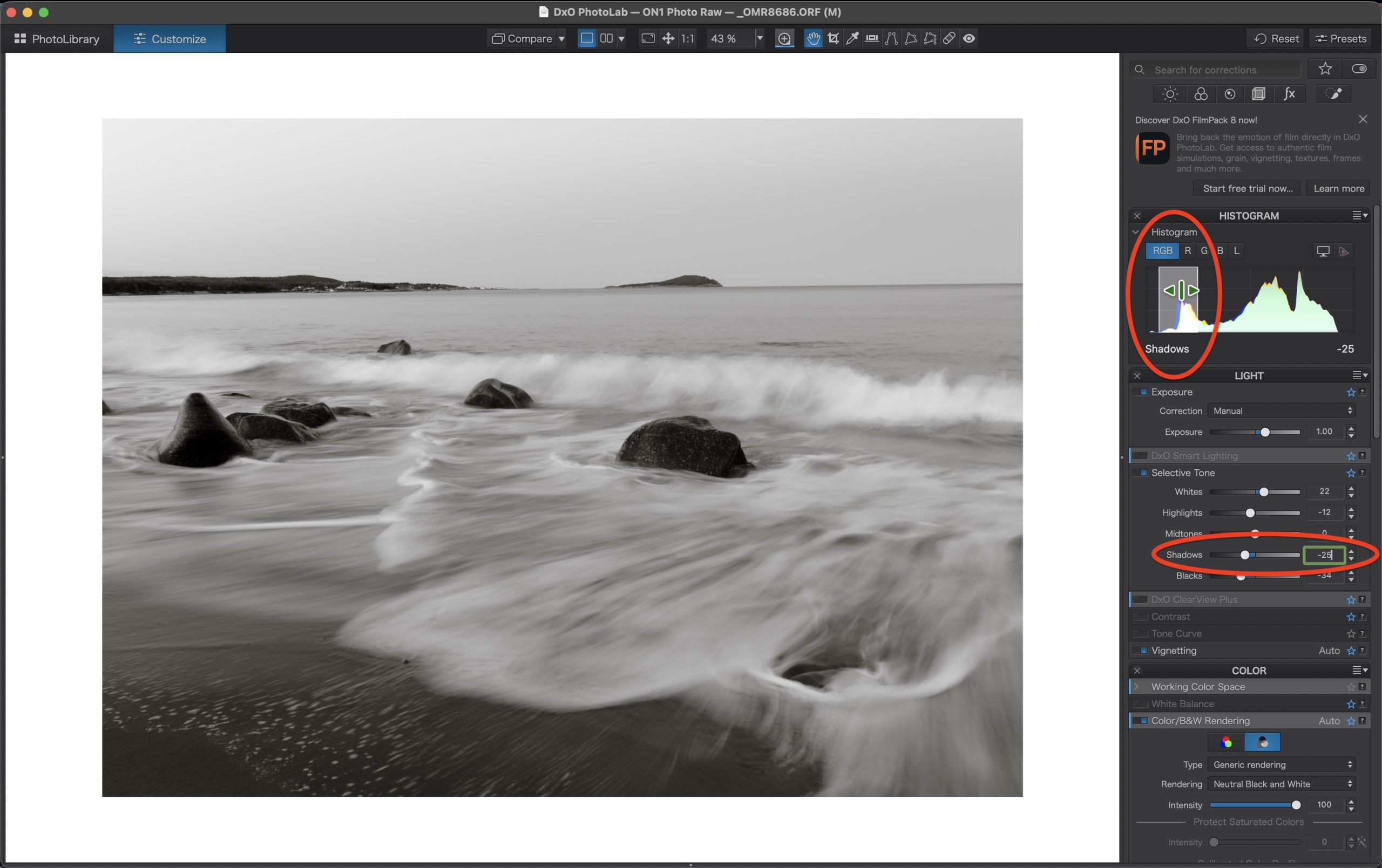 DxO PhotoLab 10 Histogram showing tone controls for adjusting exposure and contrast